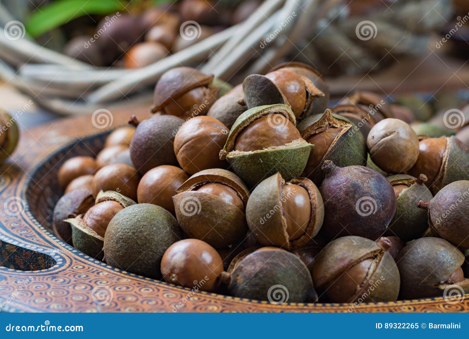 Macadamia Nuts Harvest Close Up Stock Image Image of bush, thiamin