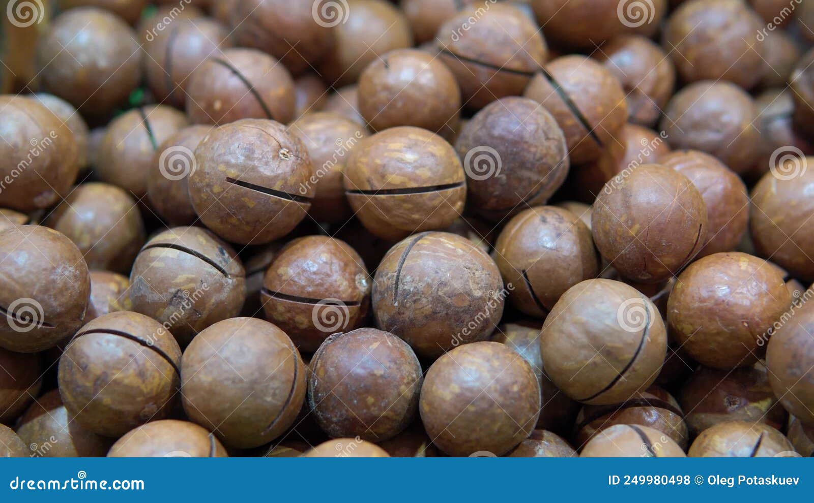 Macadamia Nuts on Sale in the Market Stock Footage Video of crunch, macadamia 249980498