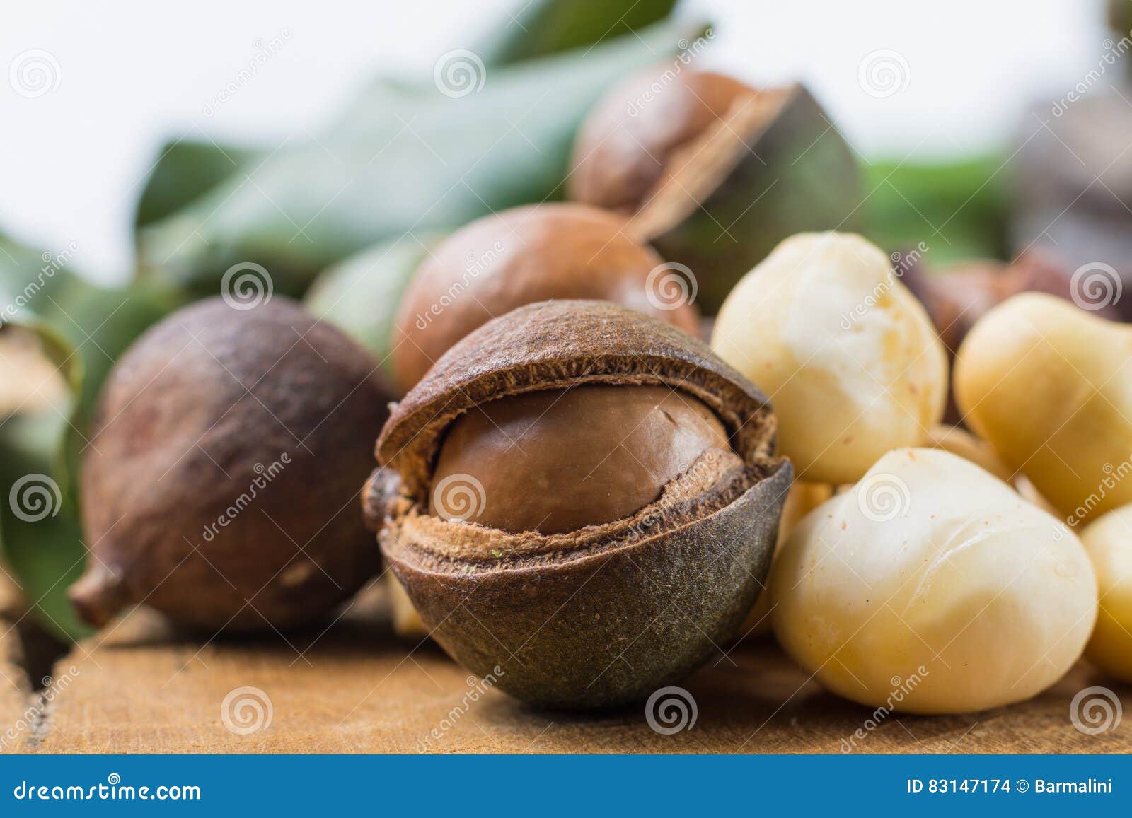 Macadamia Nuts with Shell Tasty Expensive Fat Nuts Stock Photo