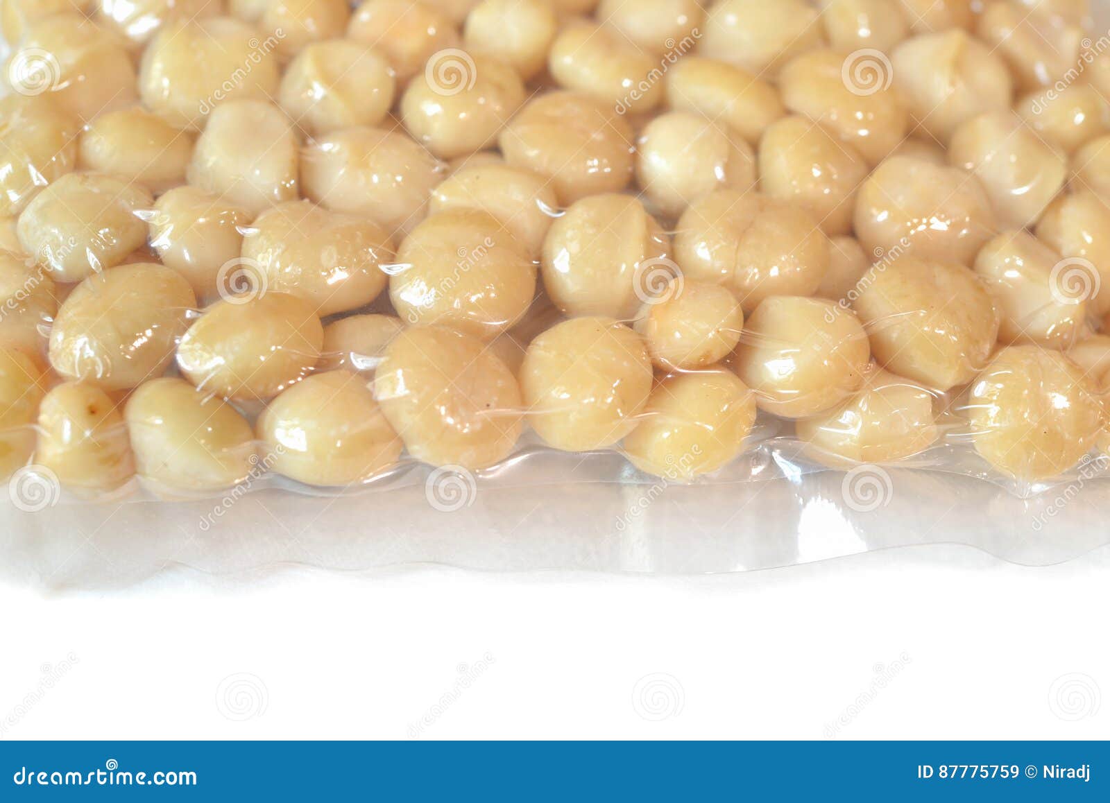 Macadamia Nuts in a Vacuum Seal Stock Image Image of nutrition