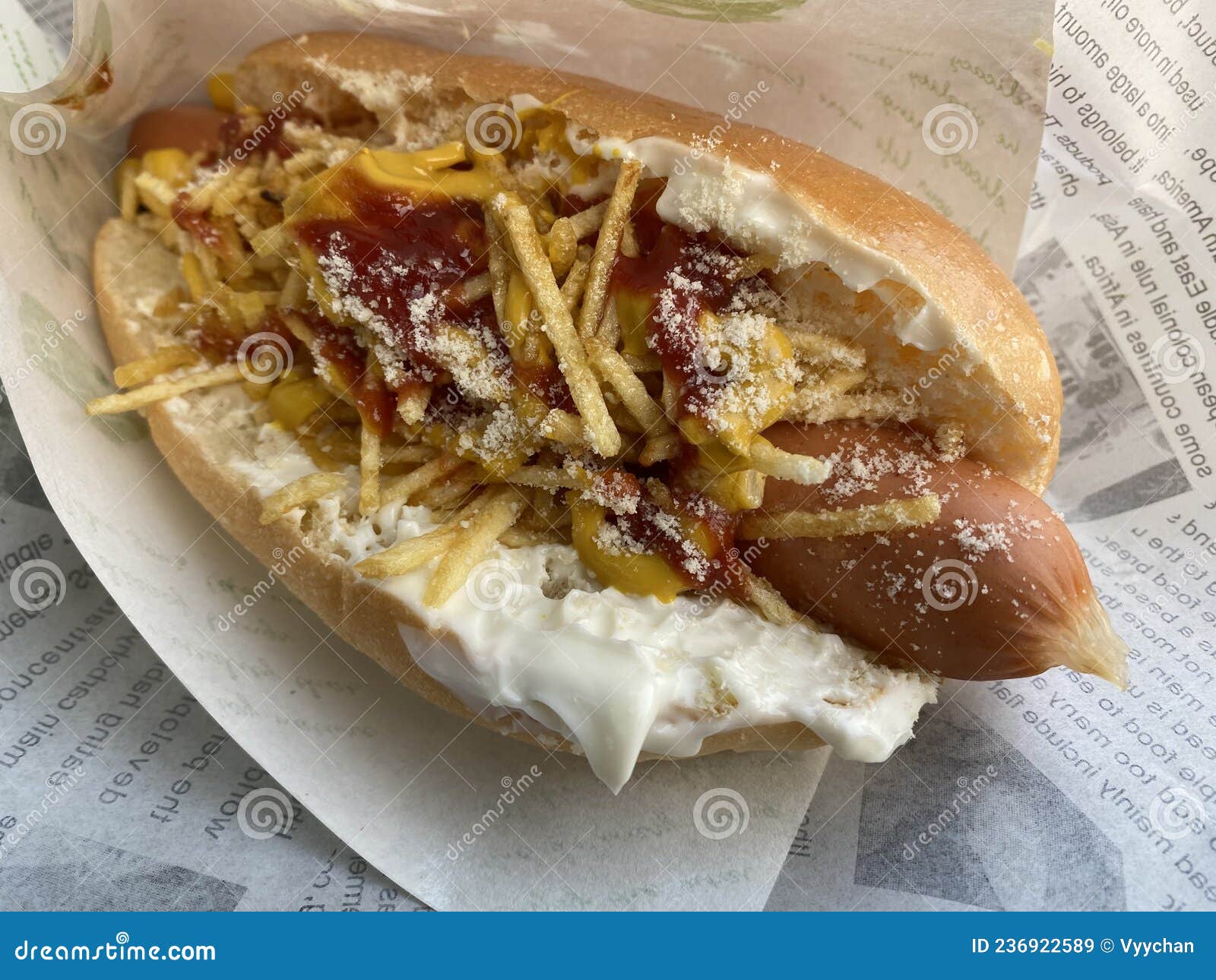 Tradicional Brasilian Hot Dog Stock Photo - Image of garlic