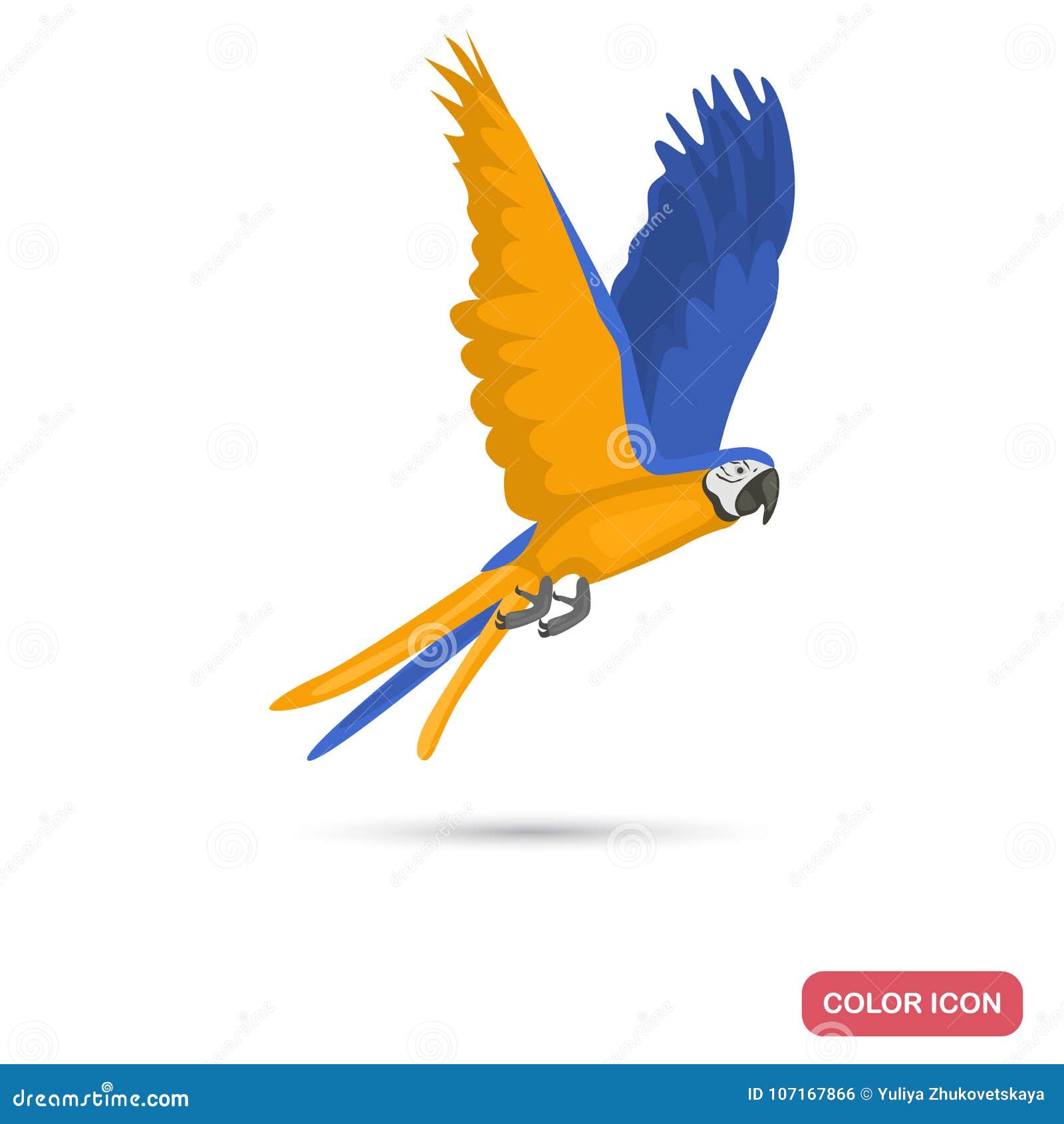 macaw parrot color flat icon for web adn mobile 