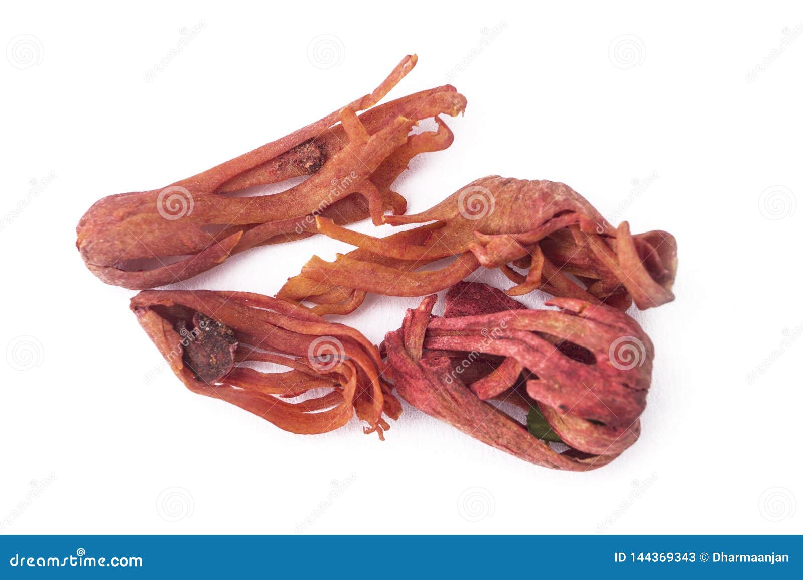 Mace or javitri or nutmeg stock image. Image of mace 144369343