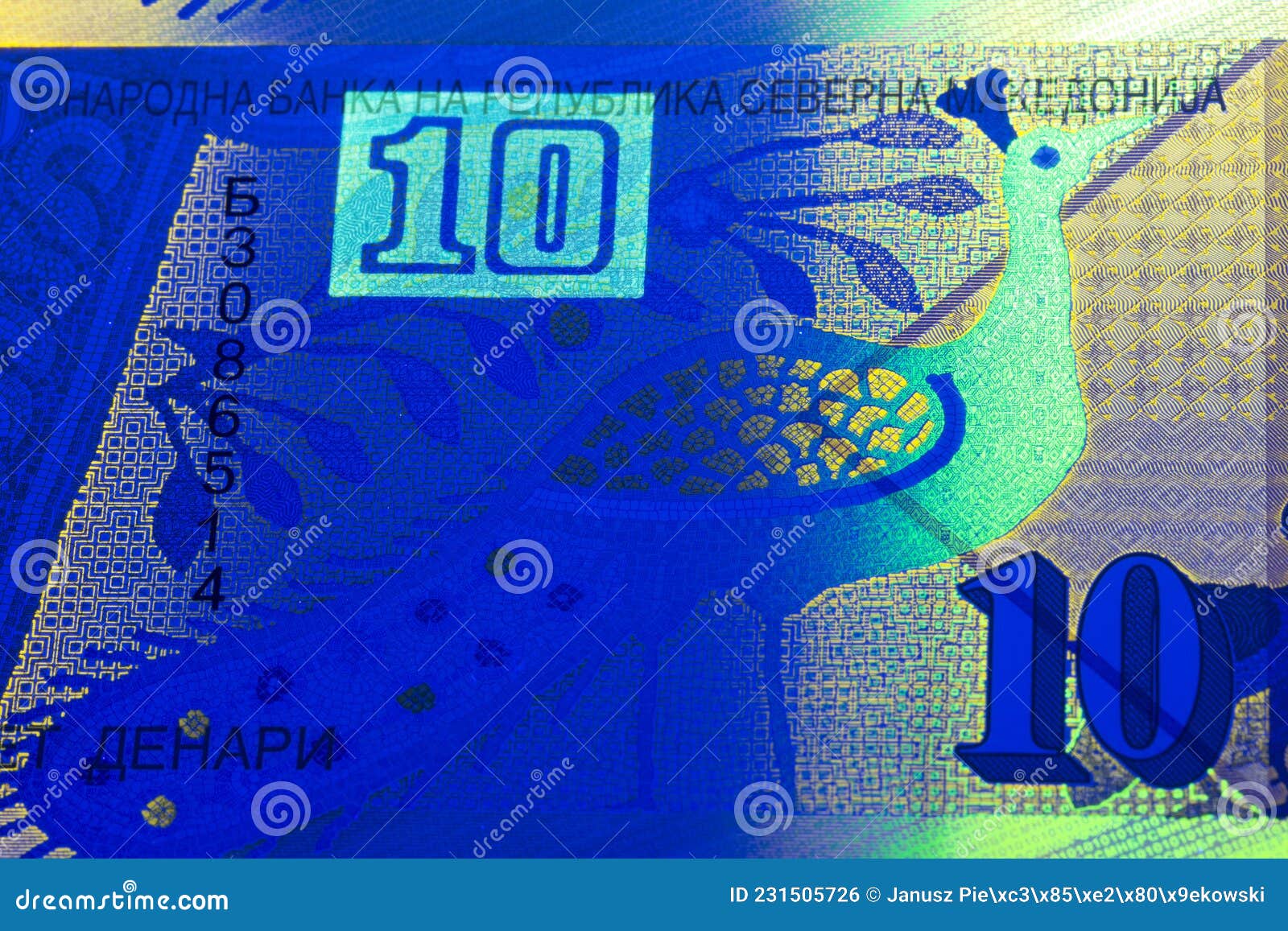 Macedonian Denar In UV Rays Stock Photo Image Of Macedonia Finance macedonian-denar-in-uv-rays-stock-photo-image-of-macedonia-finance