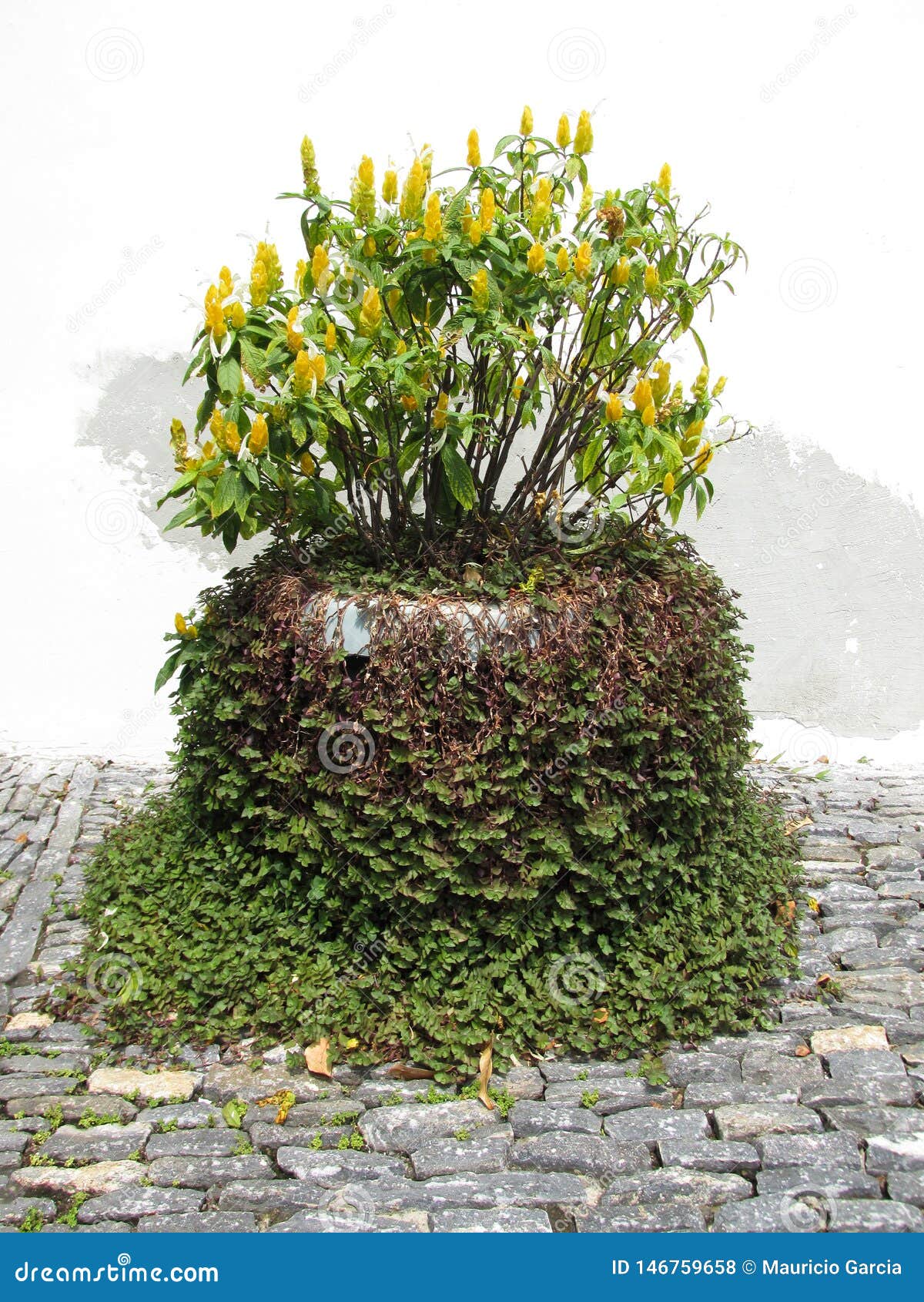 maceta con ornamento de planta cÃÂ©sped verde y flores amarillas con blanco