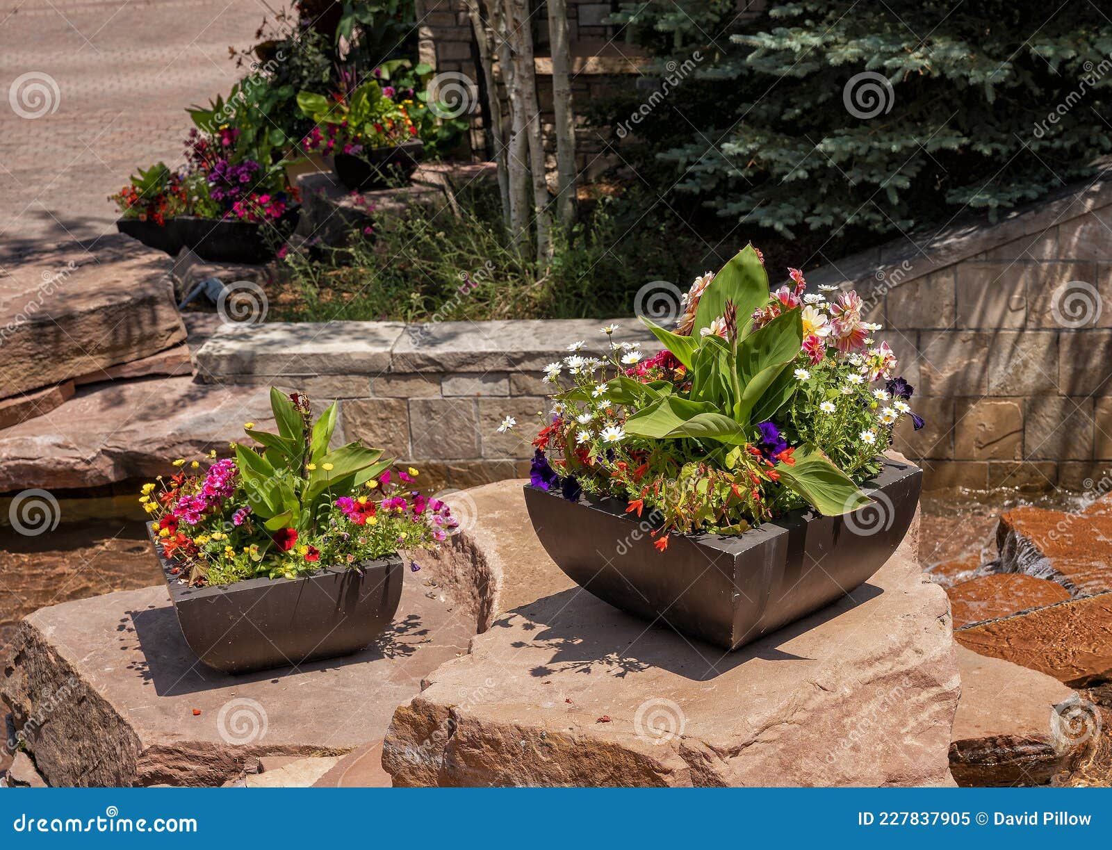 Macetas De Flores Sobre Grandes Piedras Junto a Una Fuente Decorativa Pública En Vail Colorado. Imagen de archivo - Imagen de colorido, flores: 227837905 Macetas De Flores Sobre Grandes Piedras Junto a Una Fuente Decorativa Pública En Vail Colorado. Imagen de archivo - Imagen de colorido, flores: 227837905