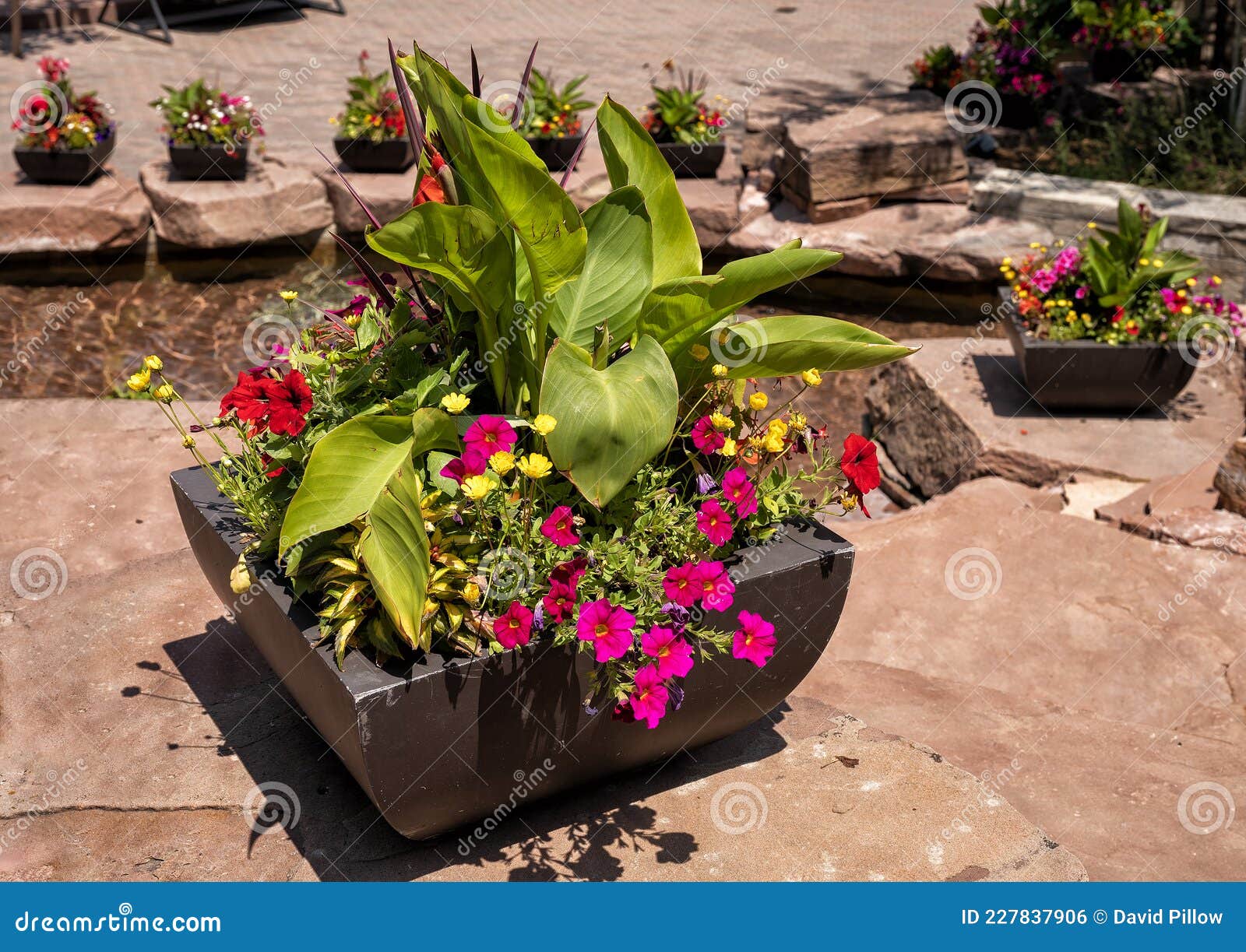 Macetas De Flores Sobre Grandes Piedras Junto a Una Fuente Decorativa Pública En Vail Colorado. Foto de archivo - Imagen de crisoles, alongside: 227837906 Macetas De Flores Sobre Grandes Piedras Junto a Una Fuente Decorativa Pública En Vail Colorado. Foto de archivo - Imagen de crisoles, alongside: 227837906