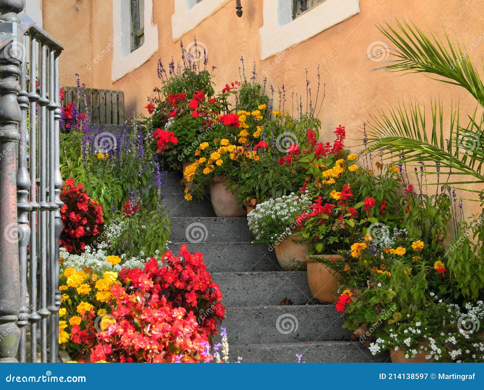 Macetas En Las Escaleras Decoración Flores De Colores En Otoño En Casa  Imagen de archivo - Imagen de colorido, macetas: 214138597