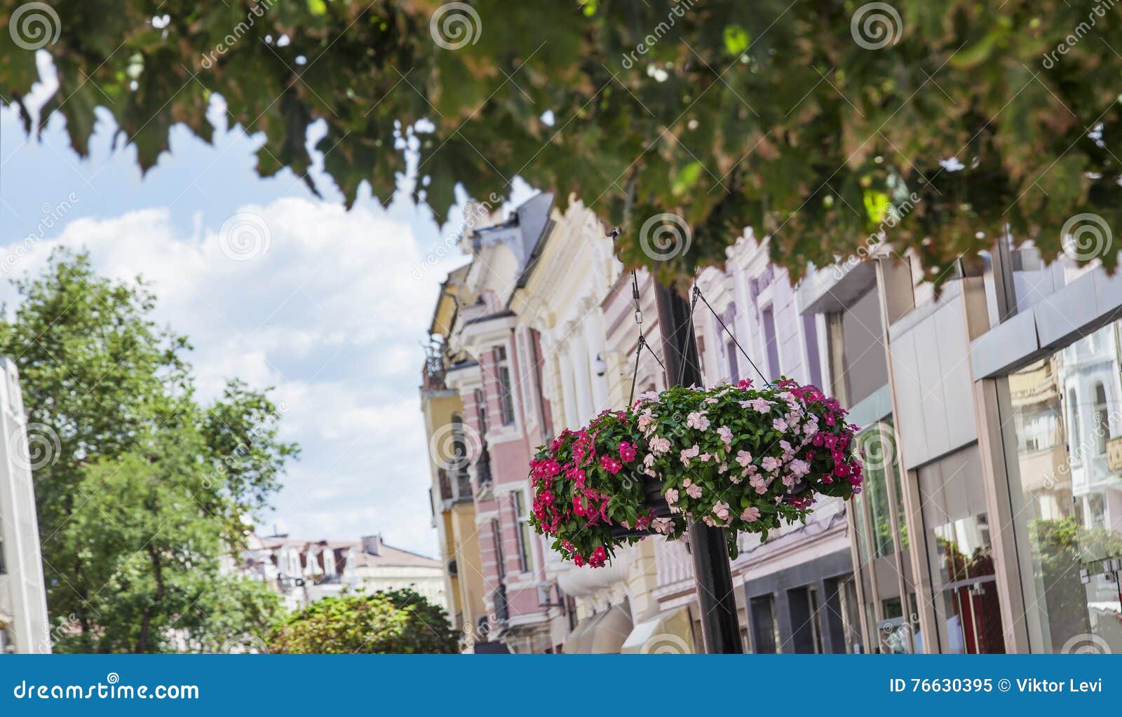 Macetas Plovdiv Las Calles De La Ejecución Imagen de - de colgante, verano: 76630395