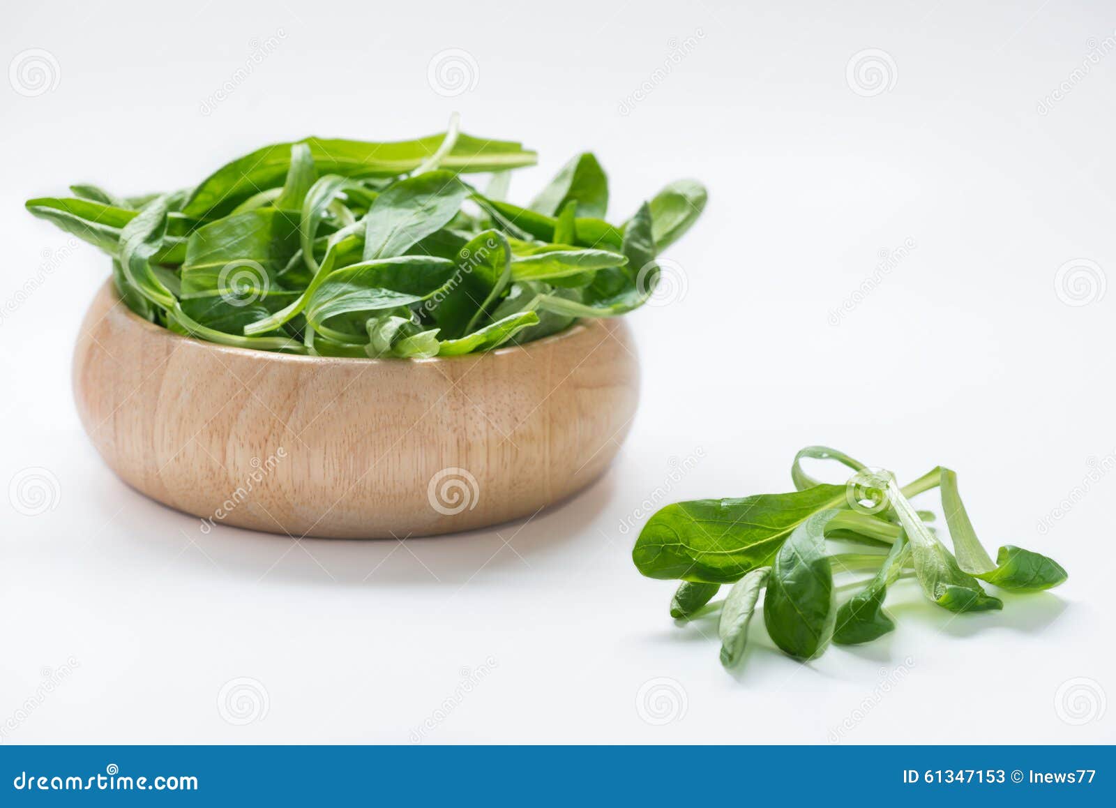 Mache, Corn Salad, Lambs Lettuce on White Background. Stock Image