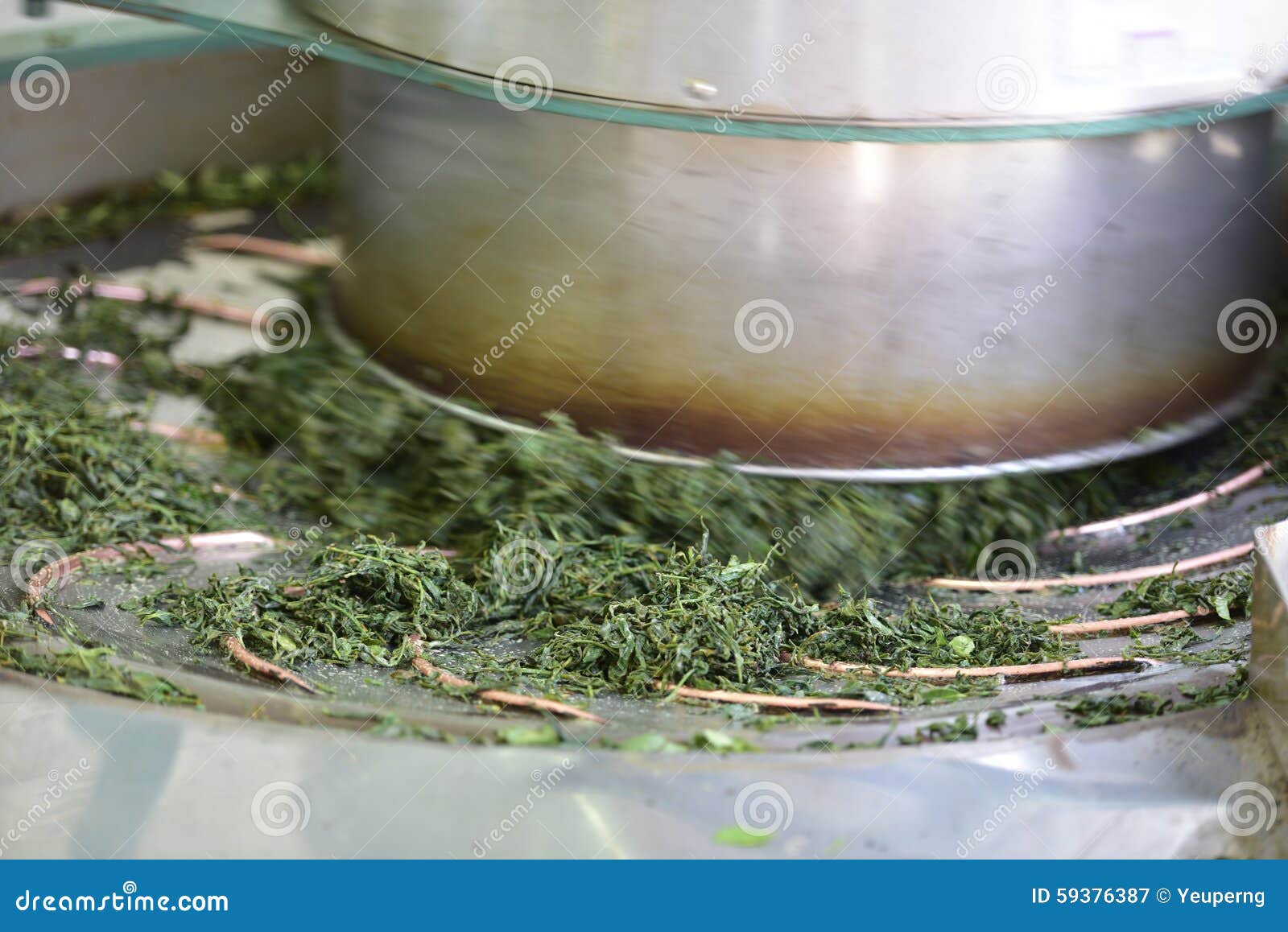 Machine for Rolling Tea Leaves. Stock Image Image of redtea