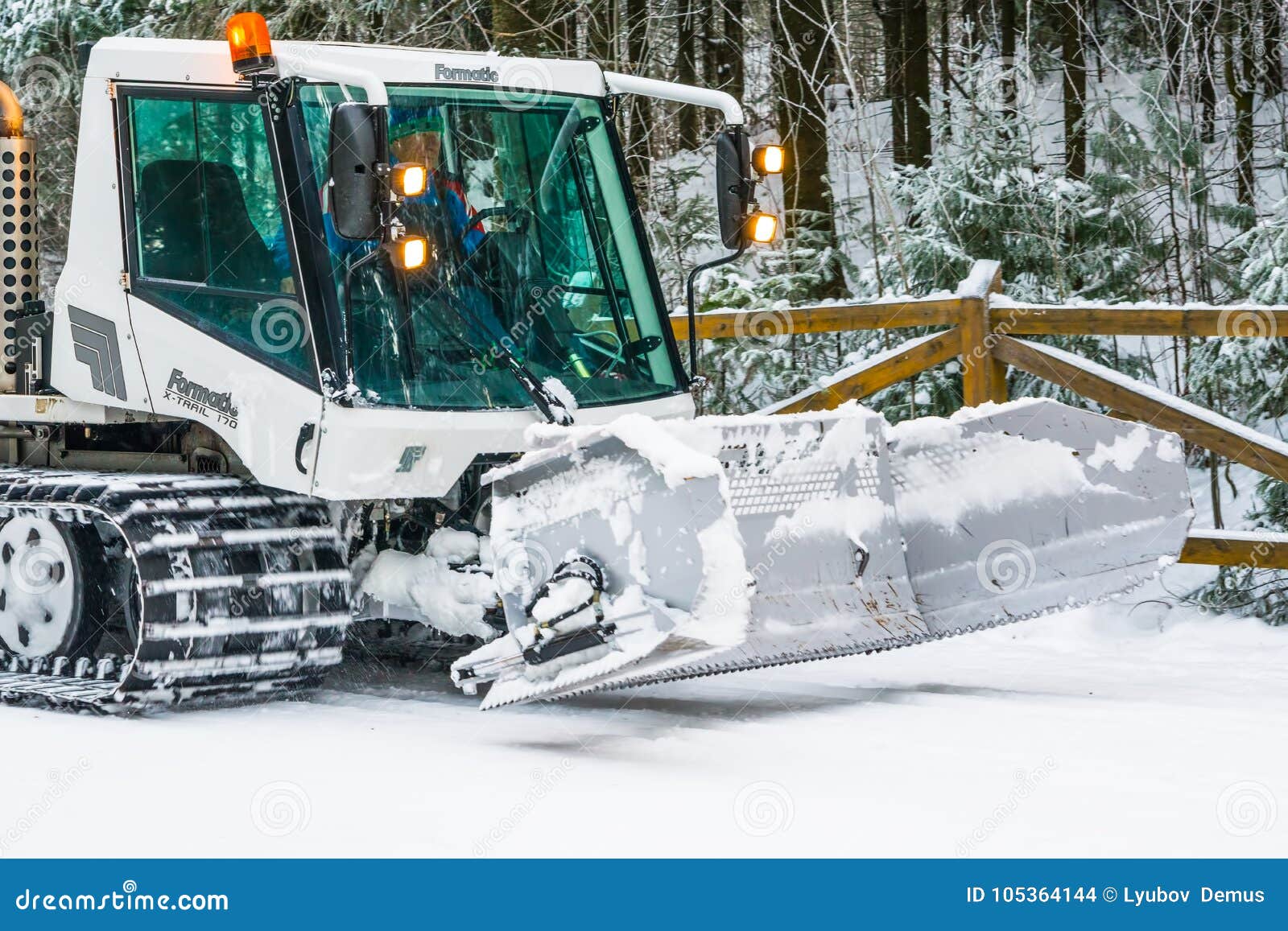 Machine Snowcat Compacts the Snow on the Ski Slopes in Coniferous