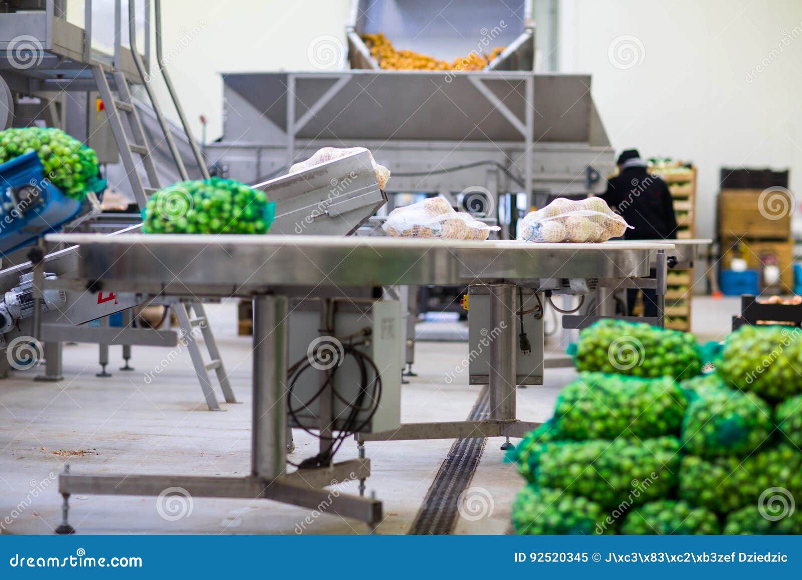 Machinery in Fruit and Vegetable Wholesale Editorial Image Image of