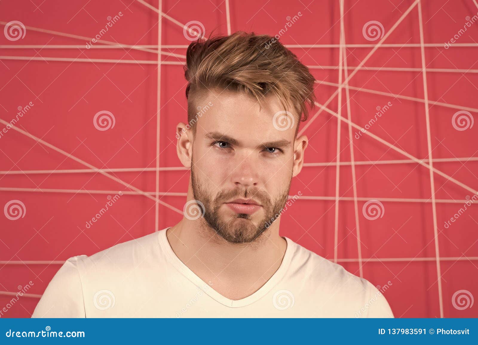 Macho With Beard On Unshaven Face Bearded Man With Blond Hair And