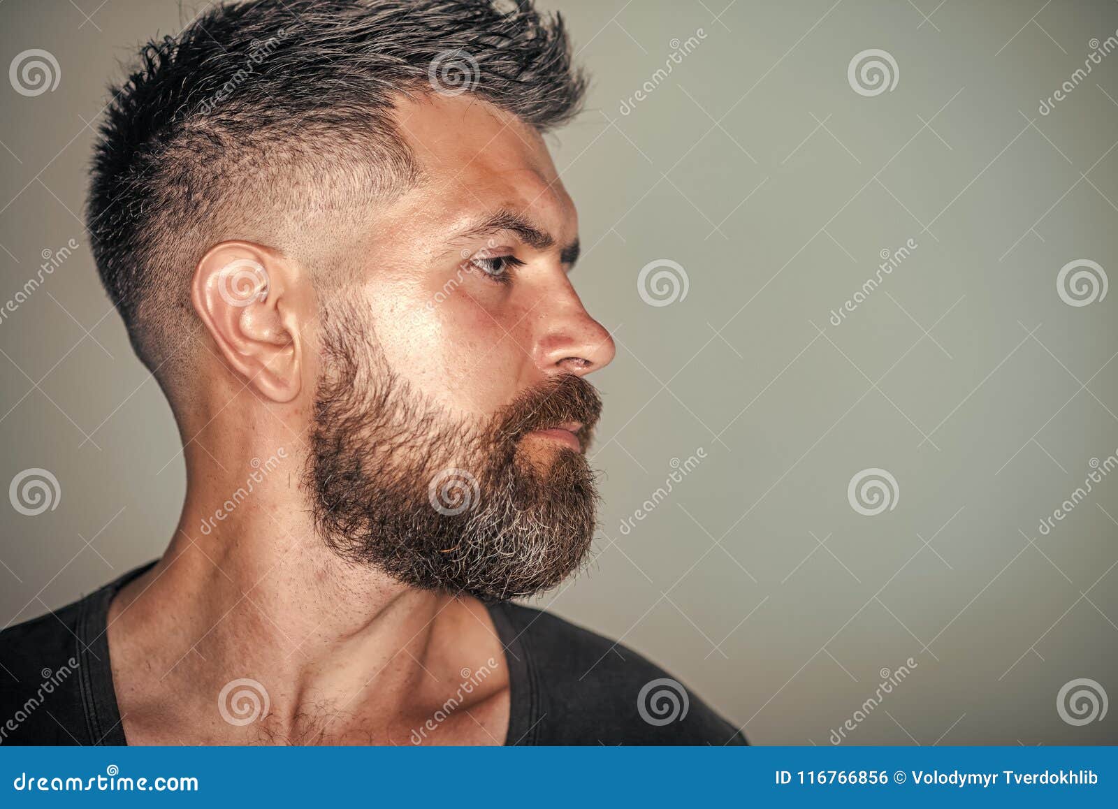 Macho with Bearded Face Profile and Stylish Hair Stock Photo - Image of macho, caucasian: 116766856 Macho with Bearded Face Profile and Stylish Hair Stock Photo - Image of macho, caucasian: 116766856