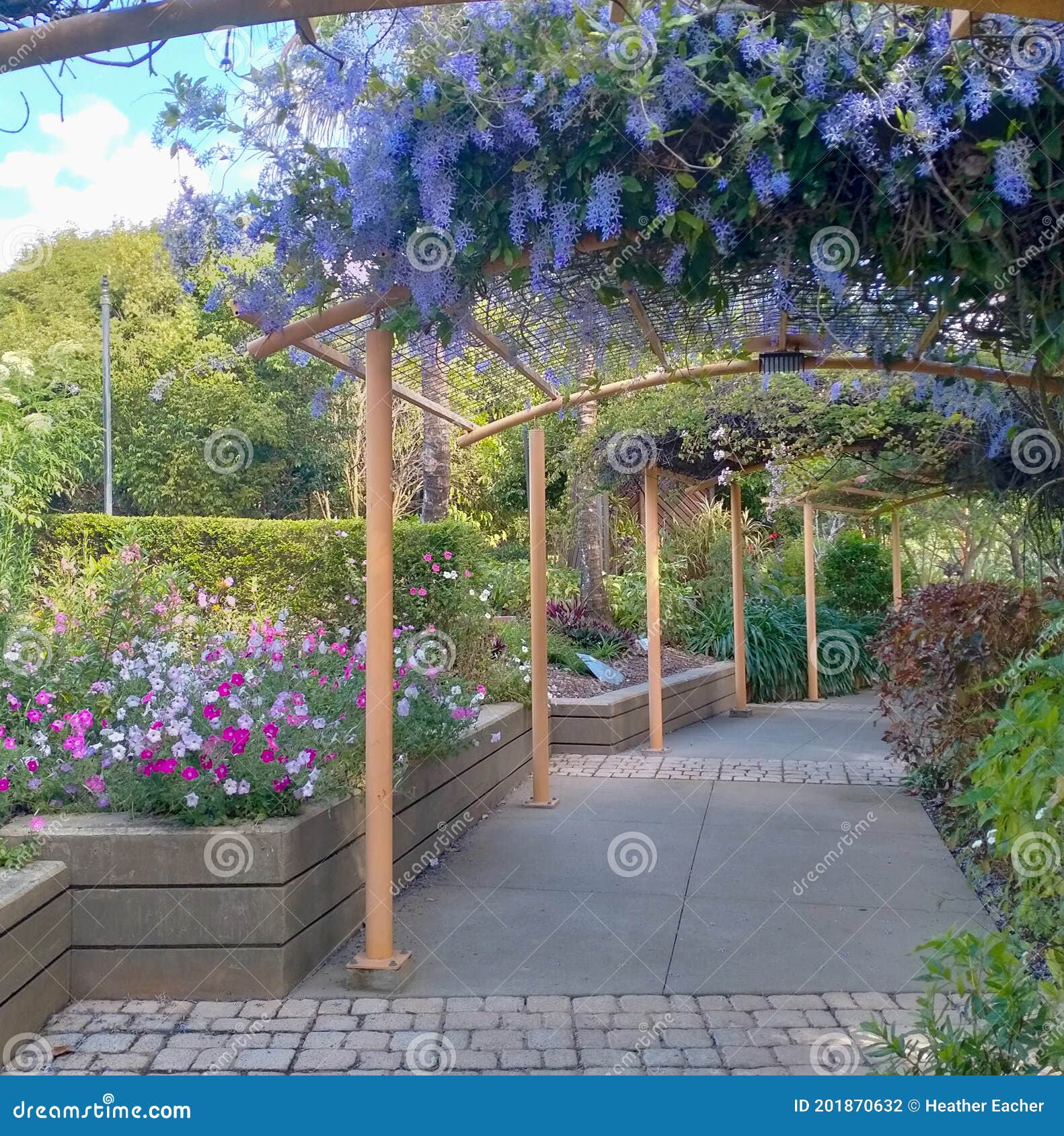 Mackay Botanical Gardens stock photo. Image of property 201870632