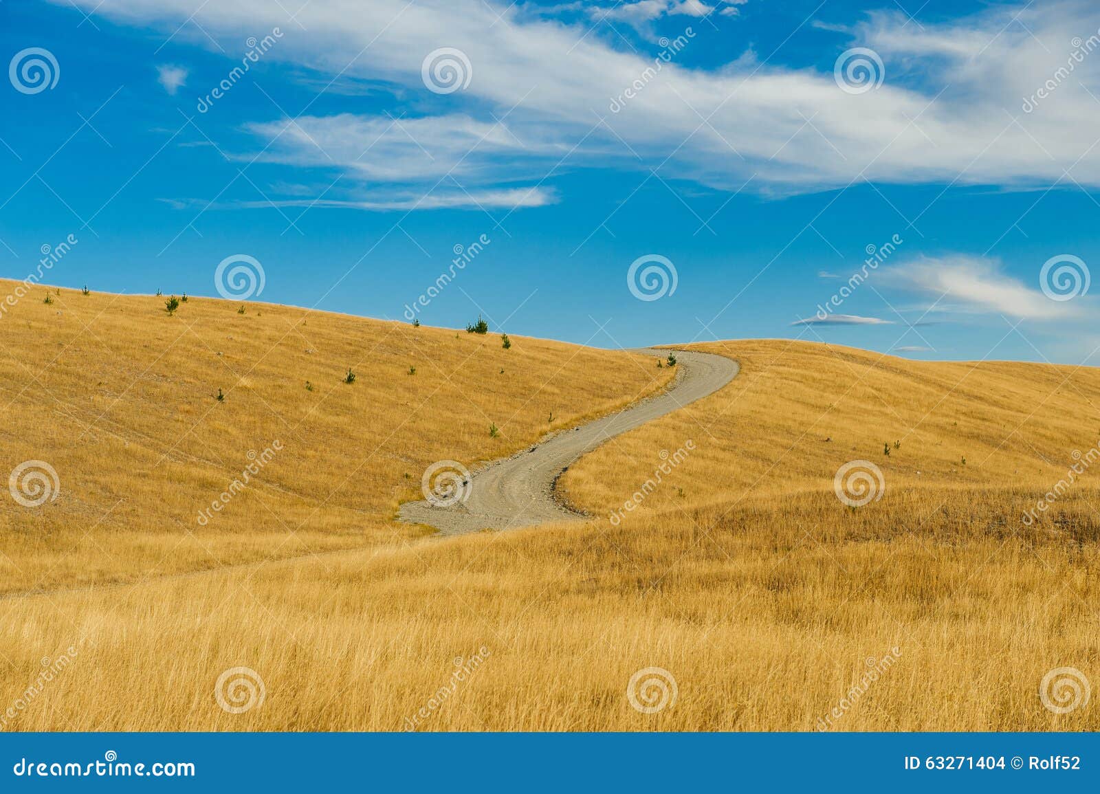 mackenzie country, south island, new zealand