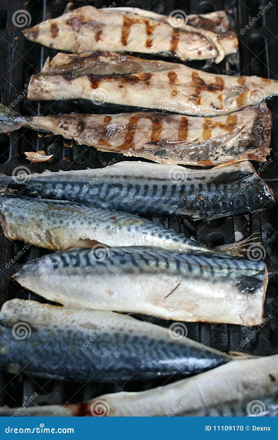 Mackerel on the Barbecue stock photo. Image of healthy 11109170