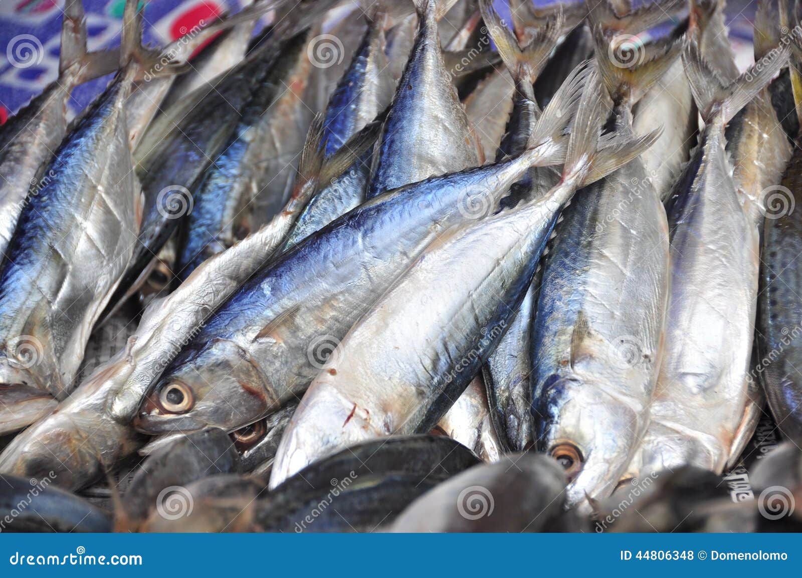 Mackerel dry stock photo. Image of economy, wicker, fishermen 44806348