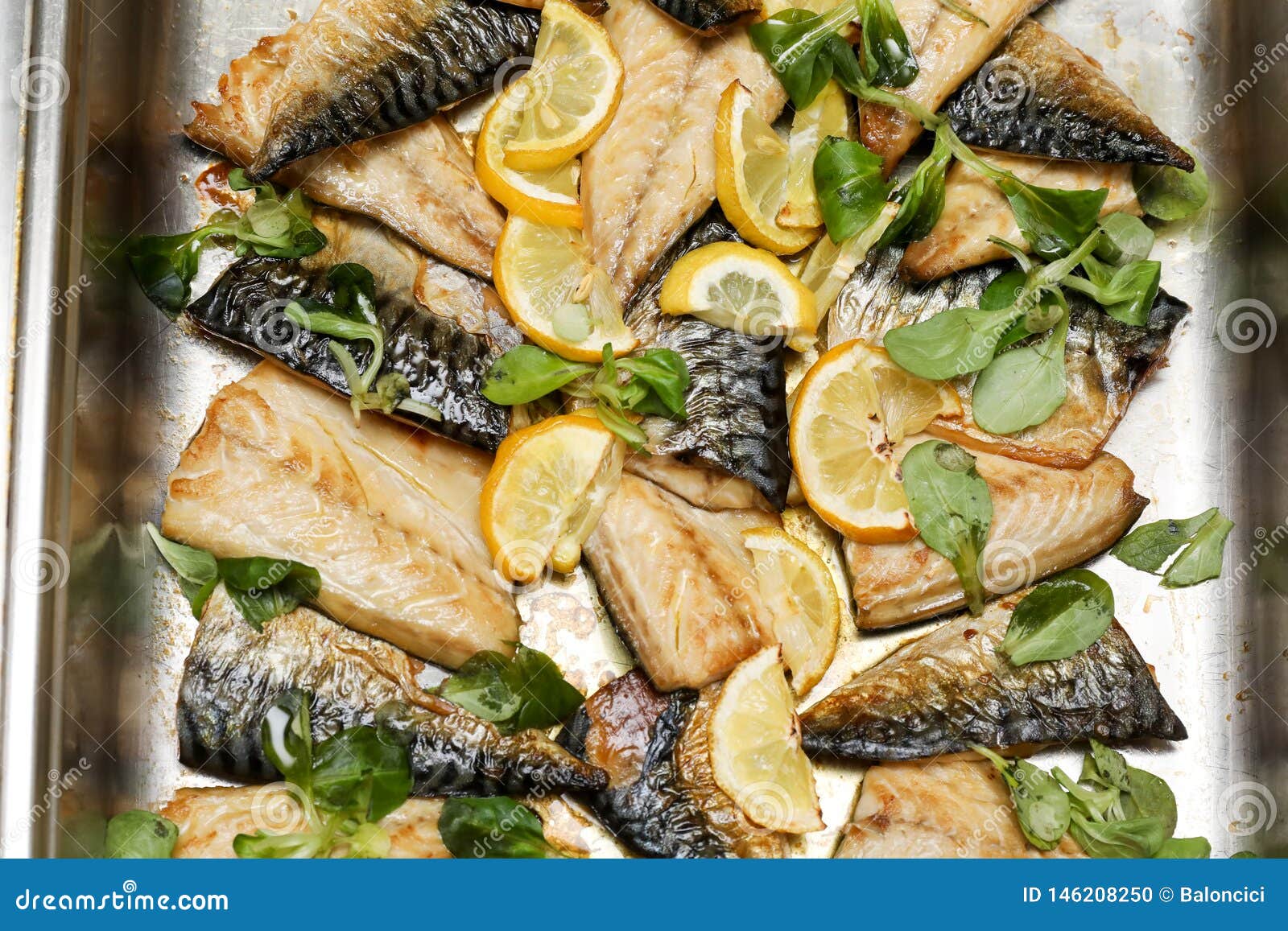 Mackerel Fillet stock photo. Image of fish, prepared 146208250