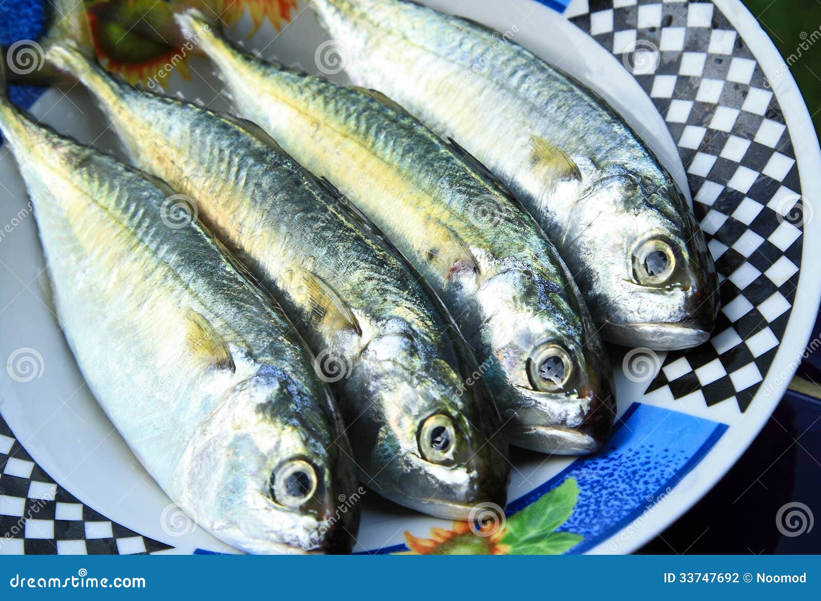 Mackerel Fish. stock photo. Image of nature, mackerel 33747692