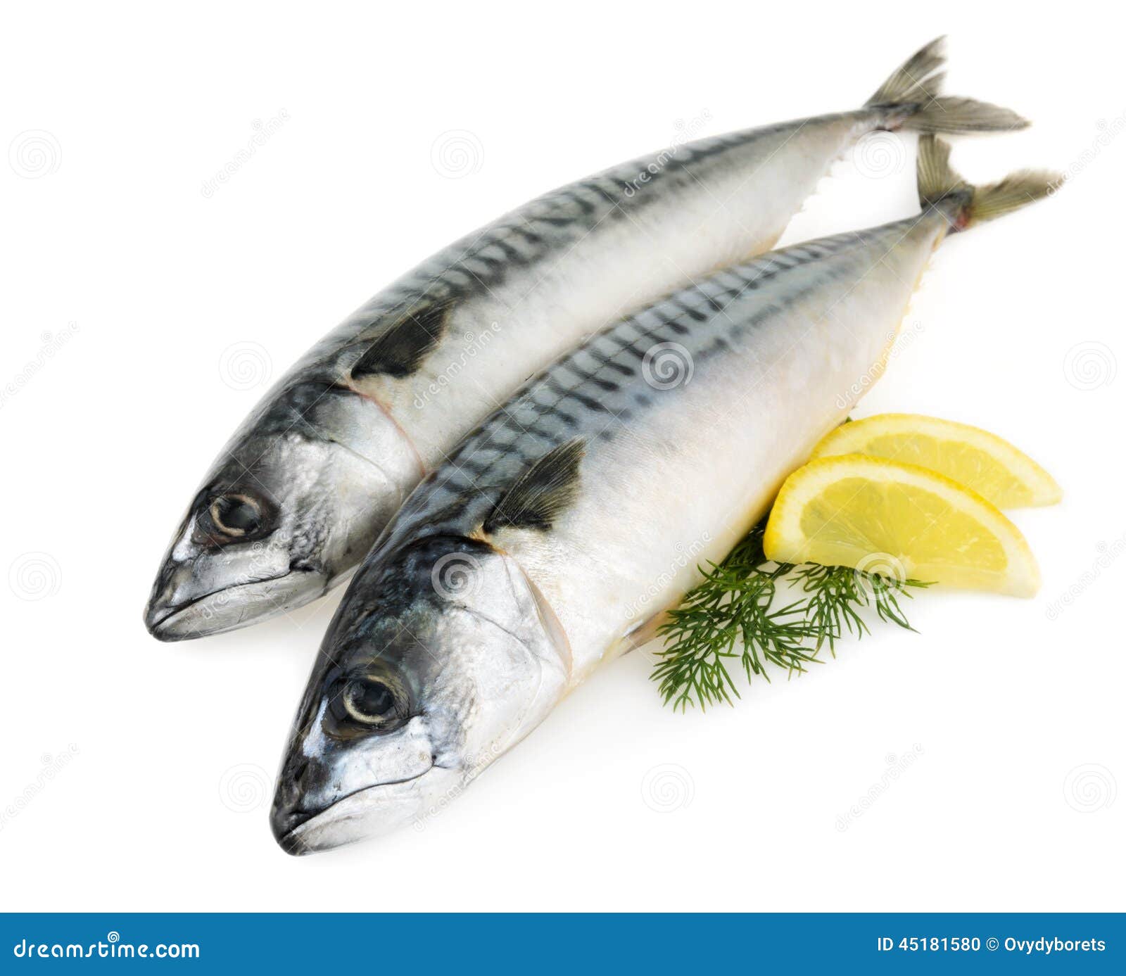 Mackerel fish isolated stock photo. Image of animal, freshness 45181580