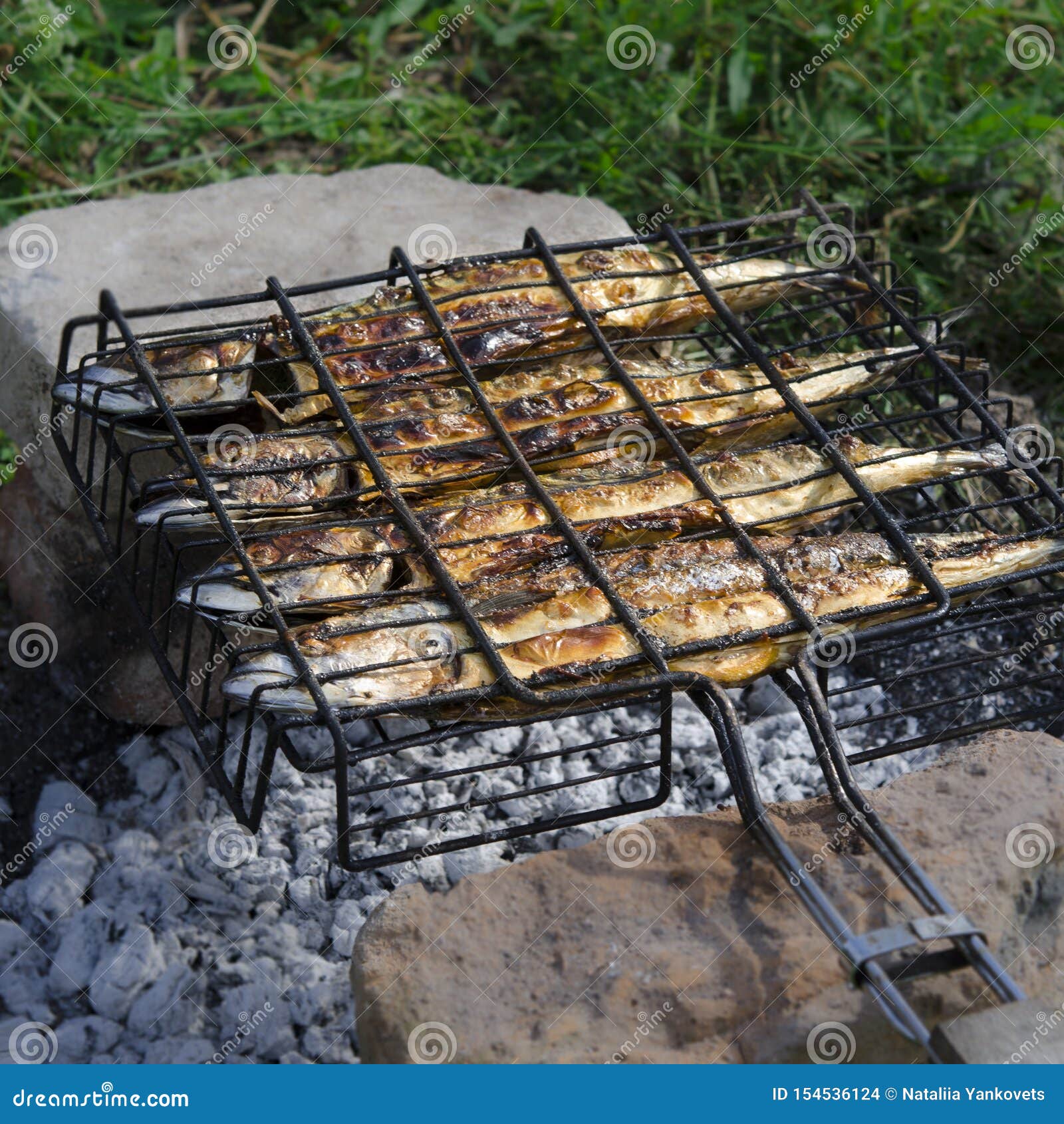The Mackerel Fish Lies on the Grill and is Cooked Over an Open Fire