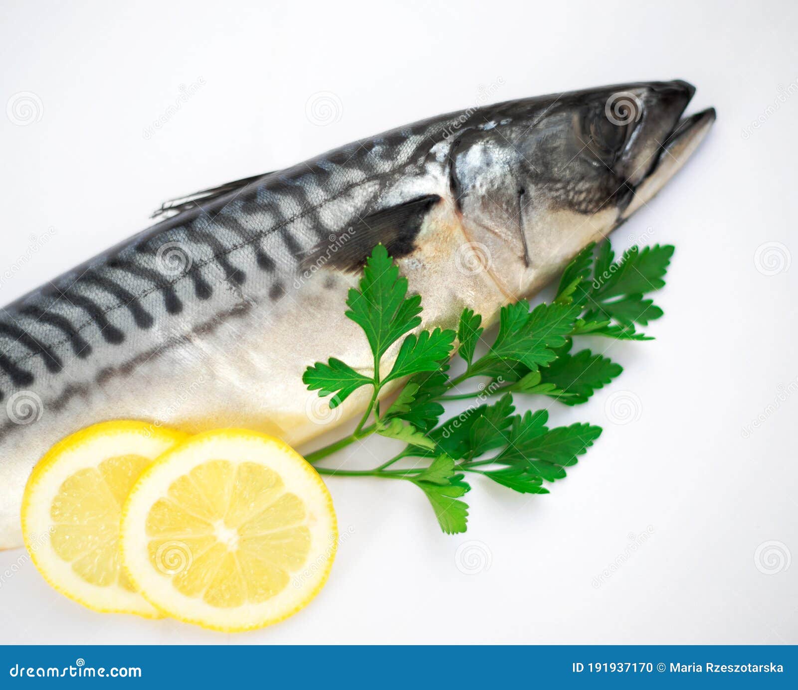 Mackerel Fish stock photo. Image of ocean, omega, isolated 191937170