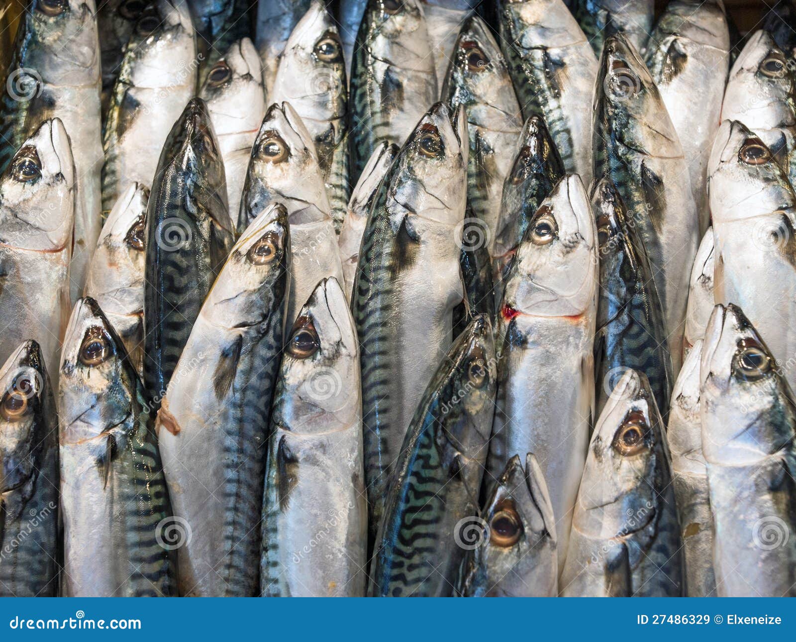 Mackerel Fish at the Market Stock Image Image of market, greece 27486329