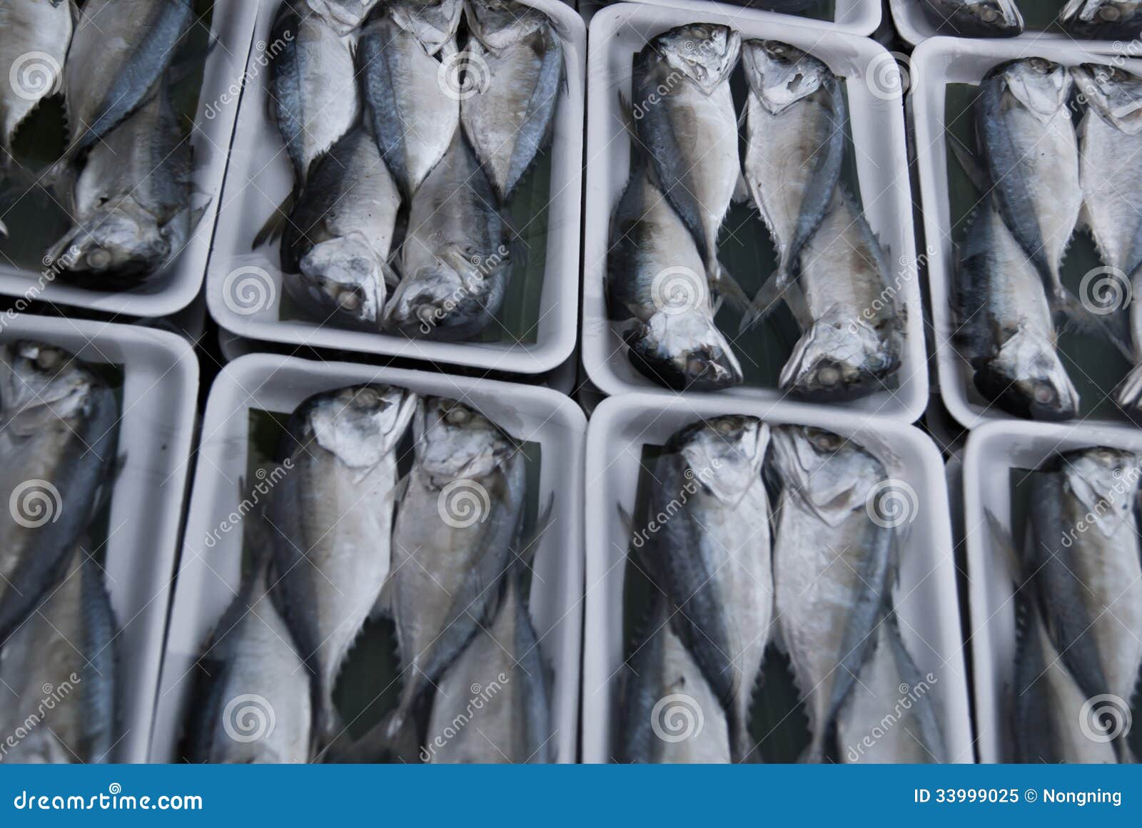 Mackerel Fish in the Market Stock Image Image of mackerel, industry
