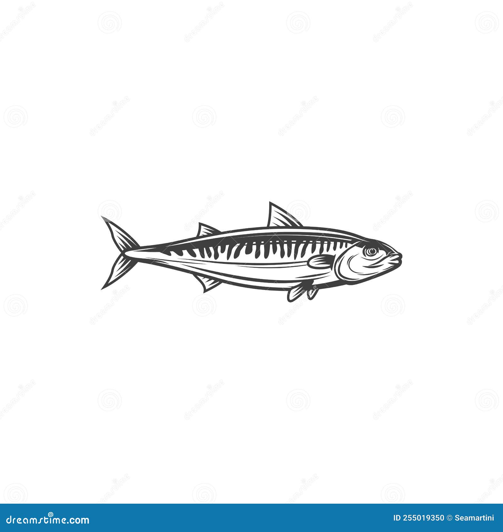 Mackerel Fish, Ocean Scomber for Fishing or Food Stock Vector