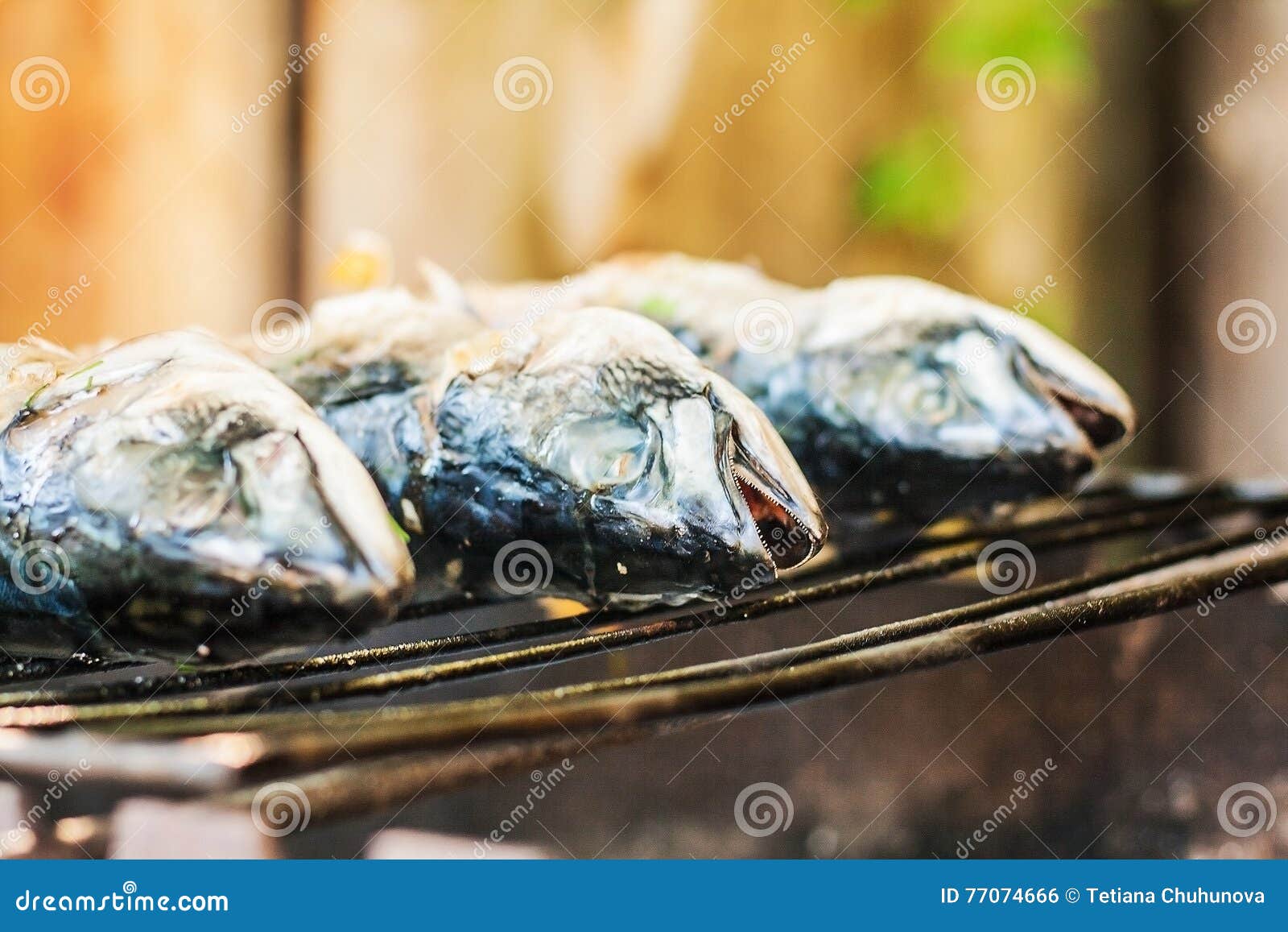 Mackerel Fish Prepared on the Grill in Smoke Stock Photo Image of fried, hand 77074666