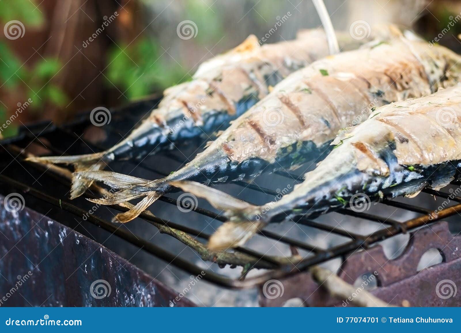 Mackerel Fish Prepared on the Grill in Smoke Stock Image Image of cooked, fried 77074701