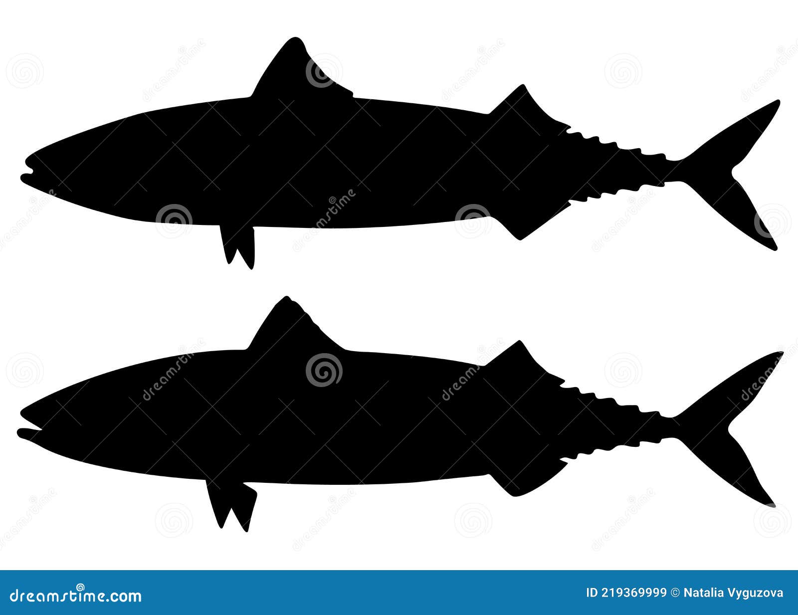 Mackerel fish in the set. stock vector. Illustration of fish 219369999