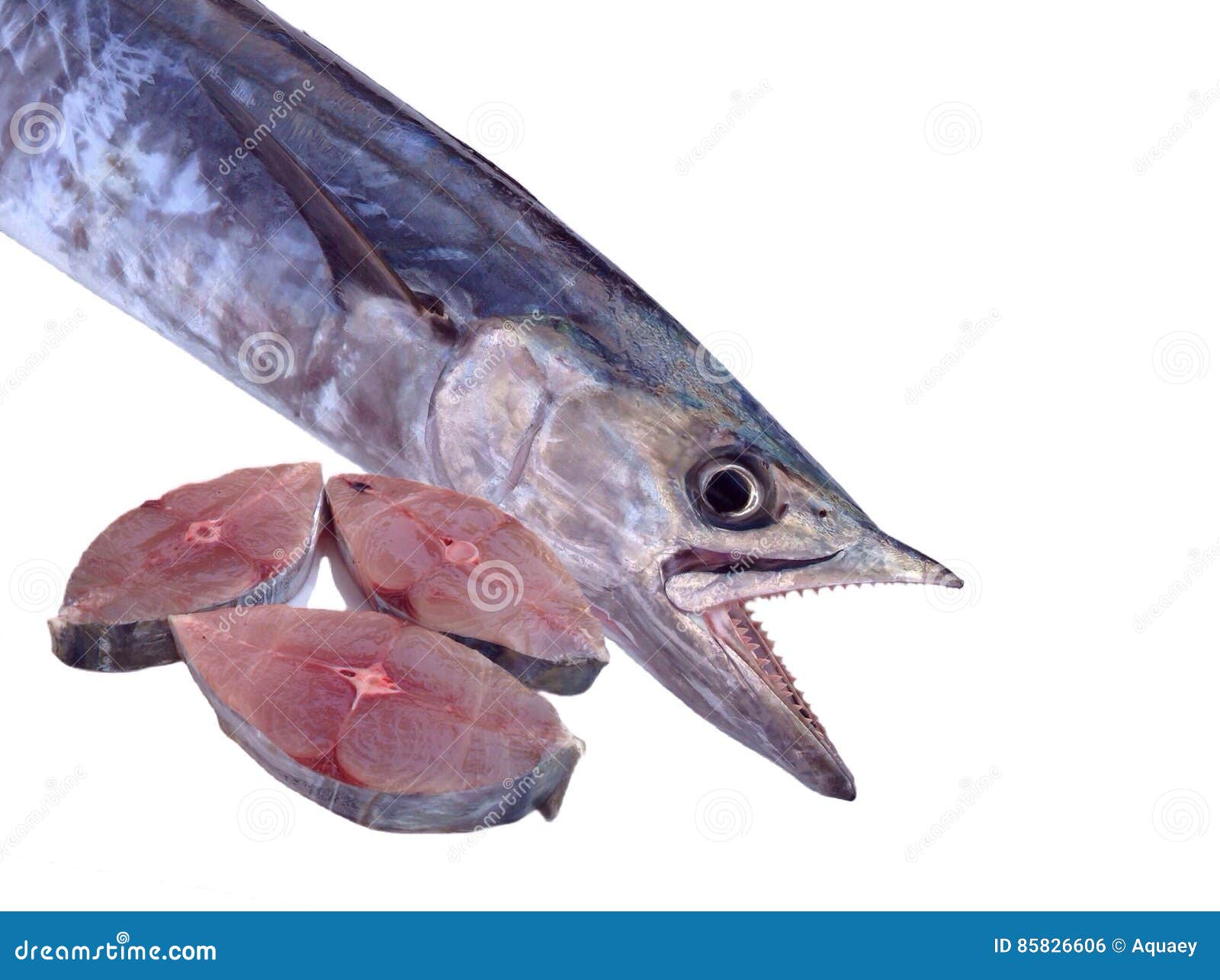 King mackerel, Spotted mackerel, Seerfish fresh - Stock Photo