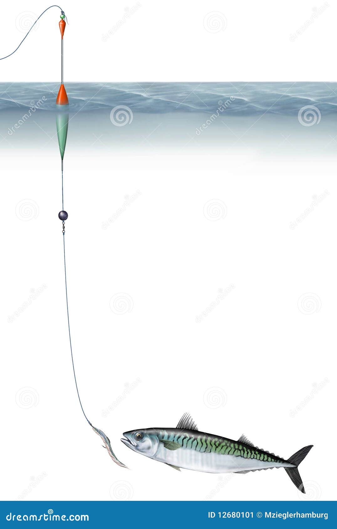 Mackerel fishing stock illustration. Illustration of bait 12680101