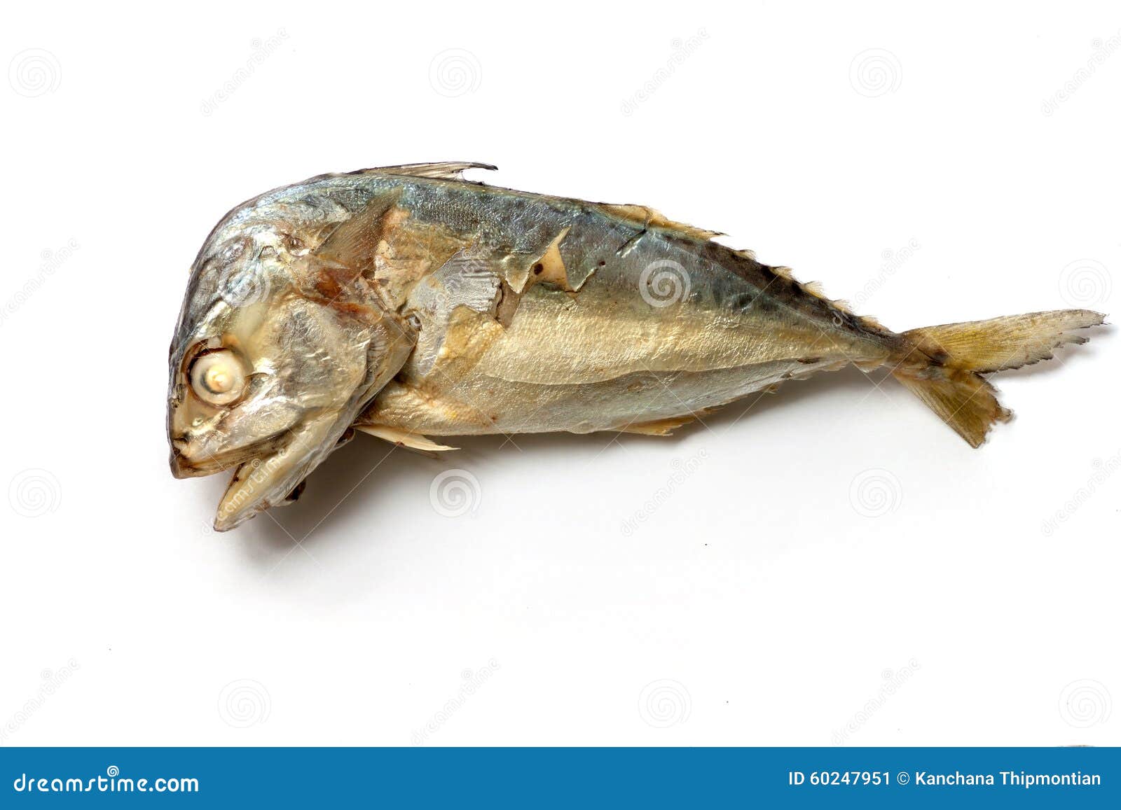Mackerel stock image. Image of gourmet, meal, calories 60247951