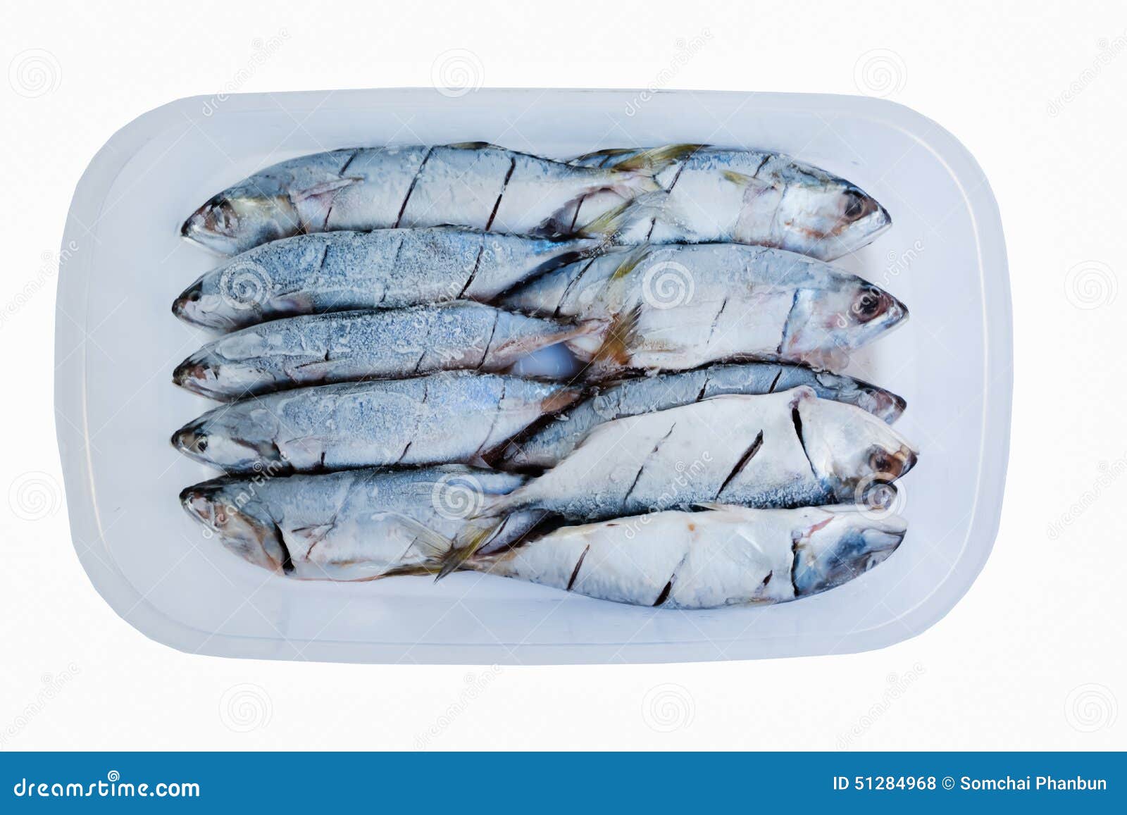 Mackerel Frozen Food Boxes with Cooking Stock Photo Image of industry
