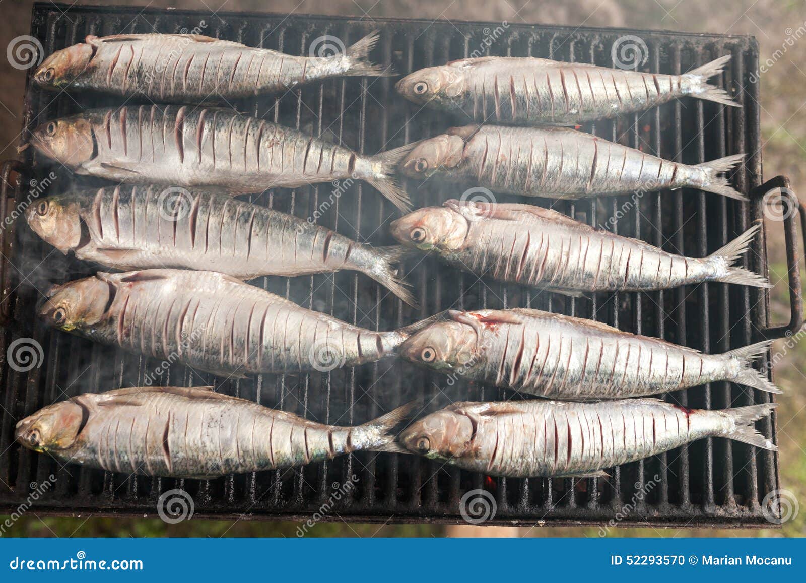 Mackerel stock photo. Image of animal, cooking, foodstuff 52293570