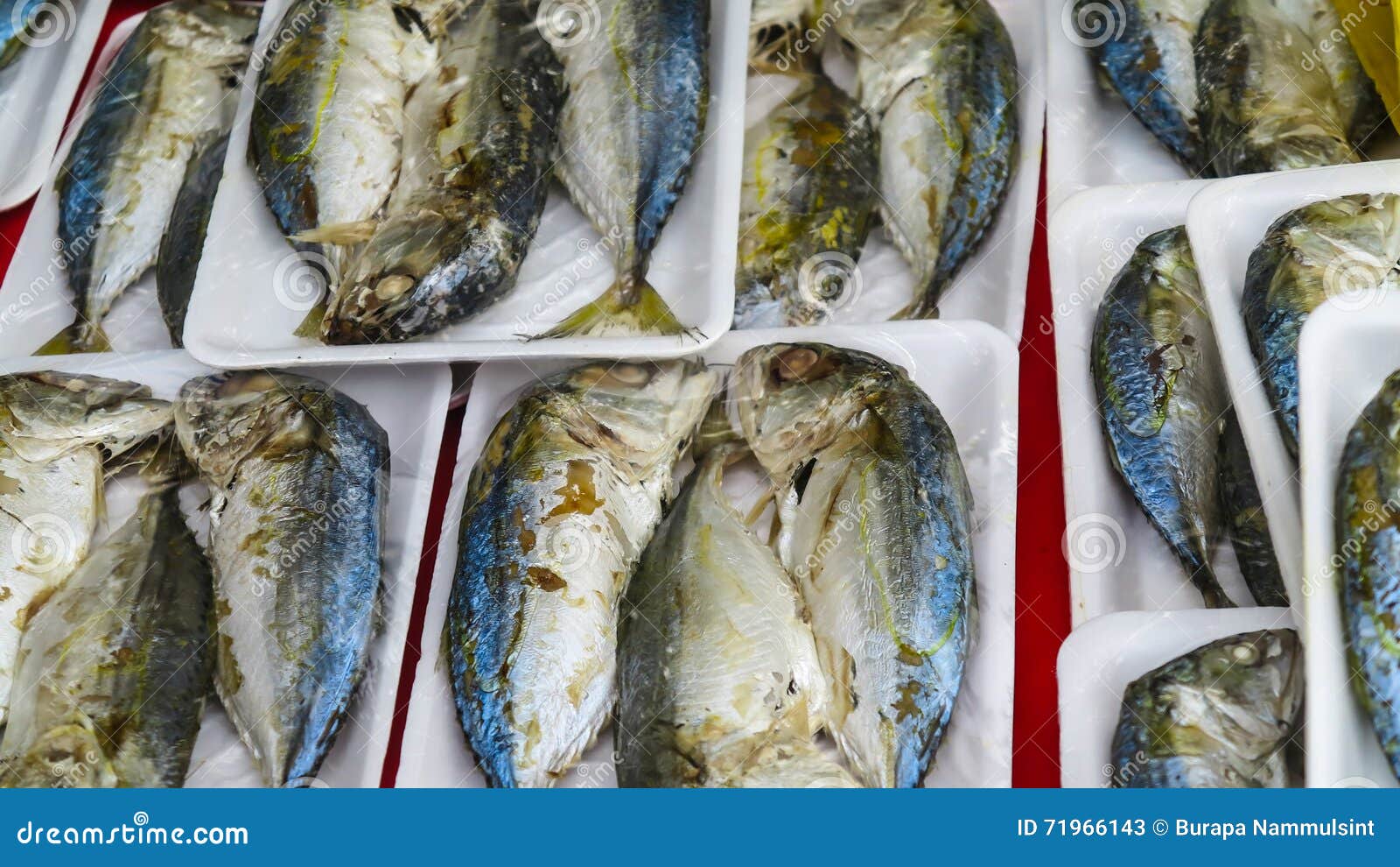 Mackerel Selling in Market. Stock Image Image of thailand, market