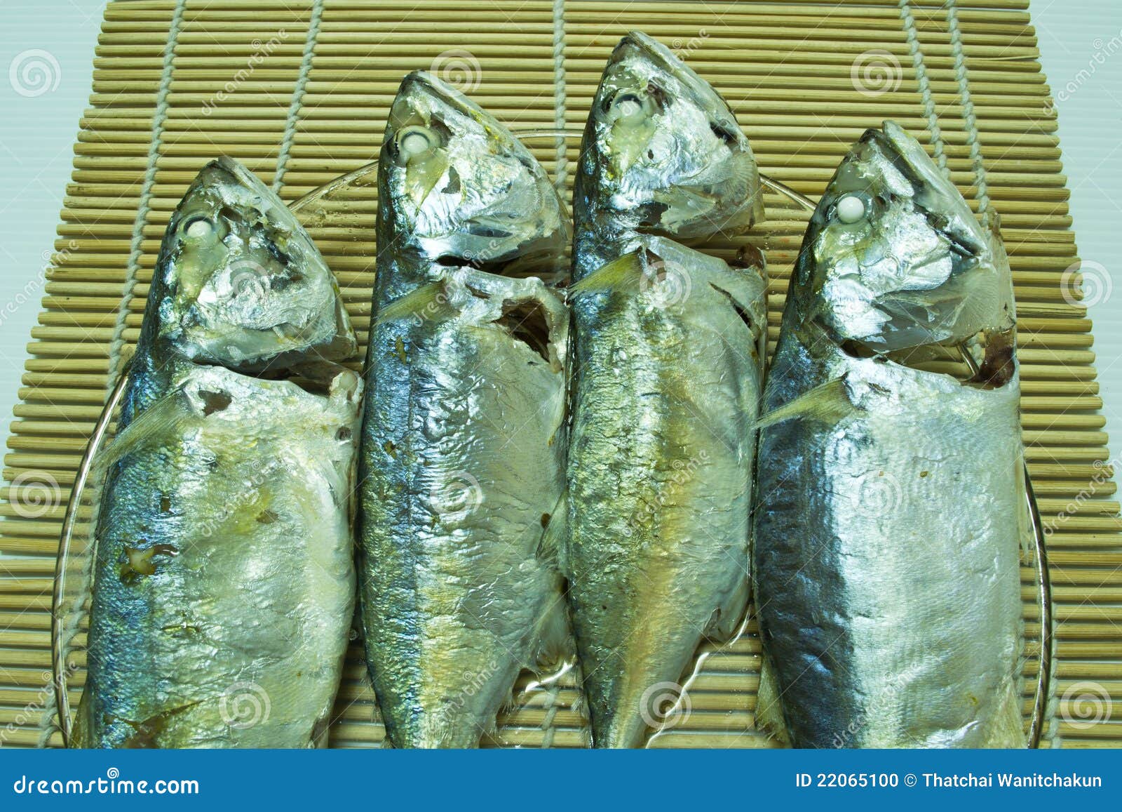 Mackerels stock photo. Image of plate, skin, tuna, fish 22065100