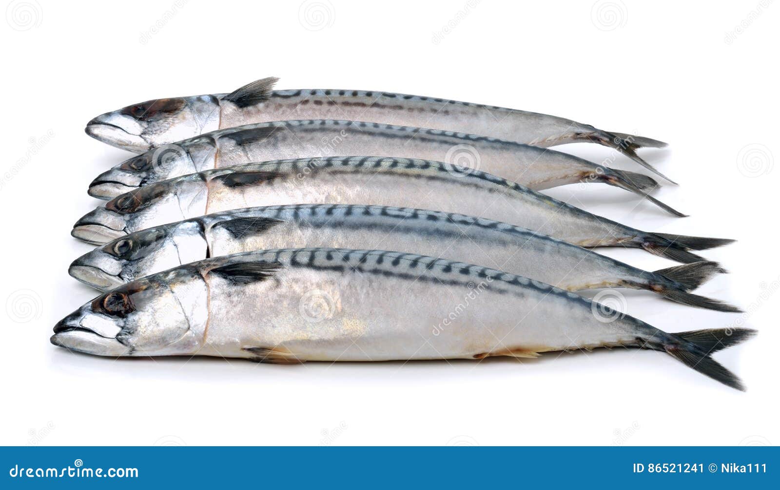 Mackerels Isolated on White Stock Image Image of sardine, ingredient