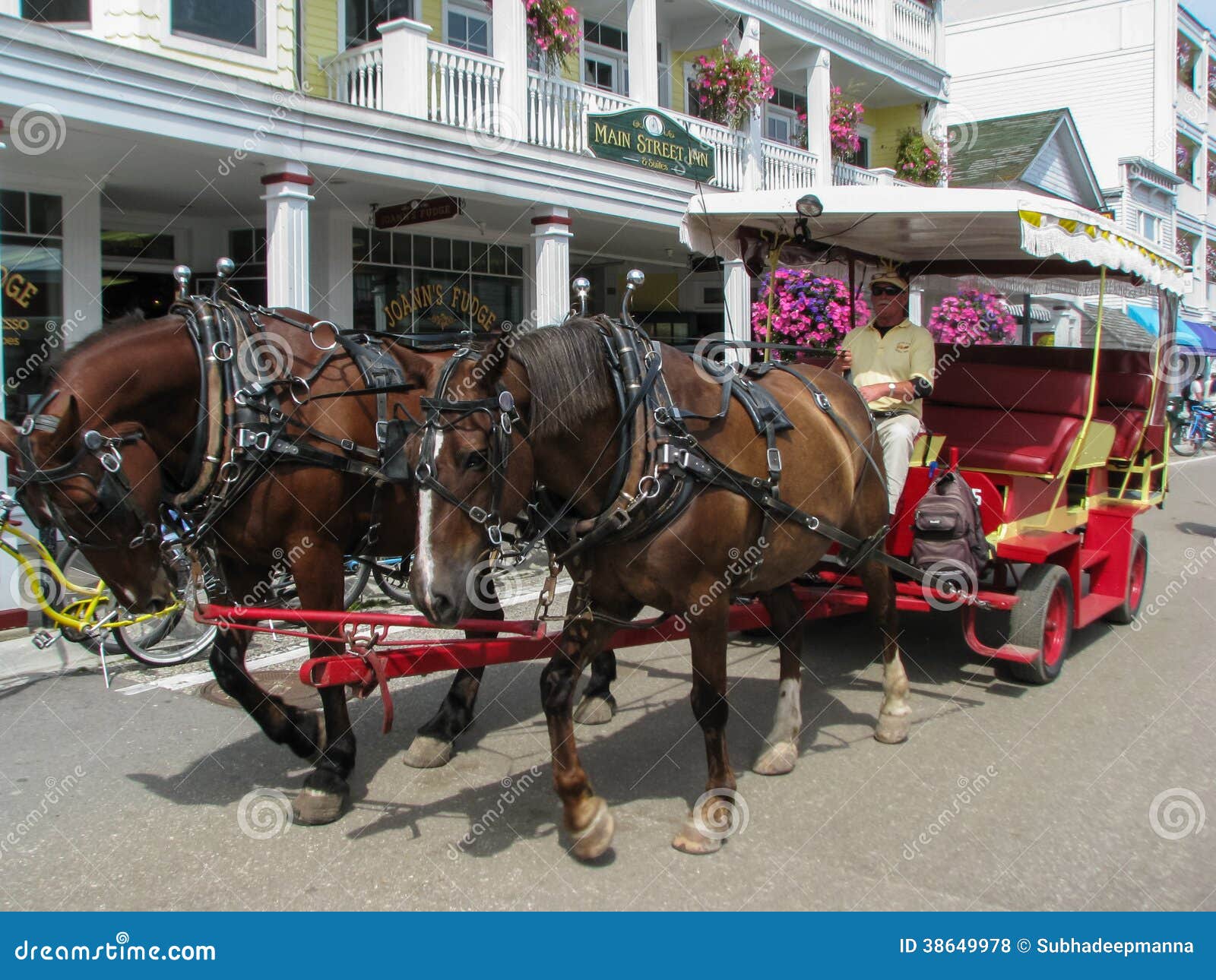 Mackinac海岛. 游人的马推车由两匹马拉扯了