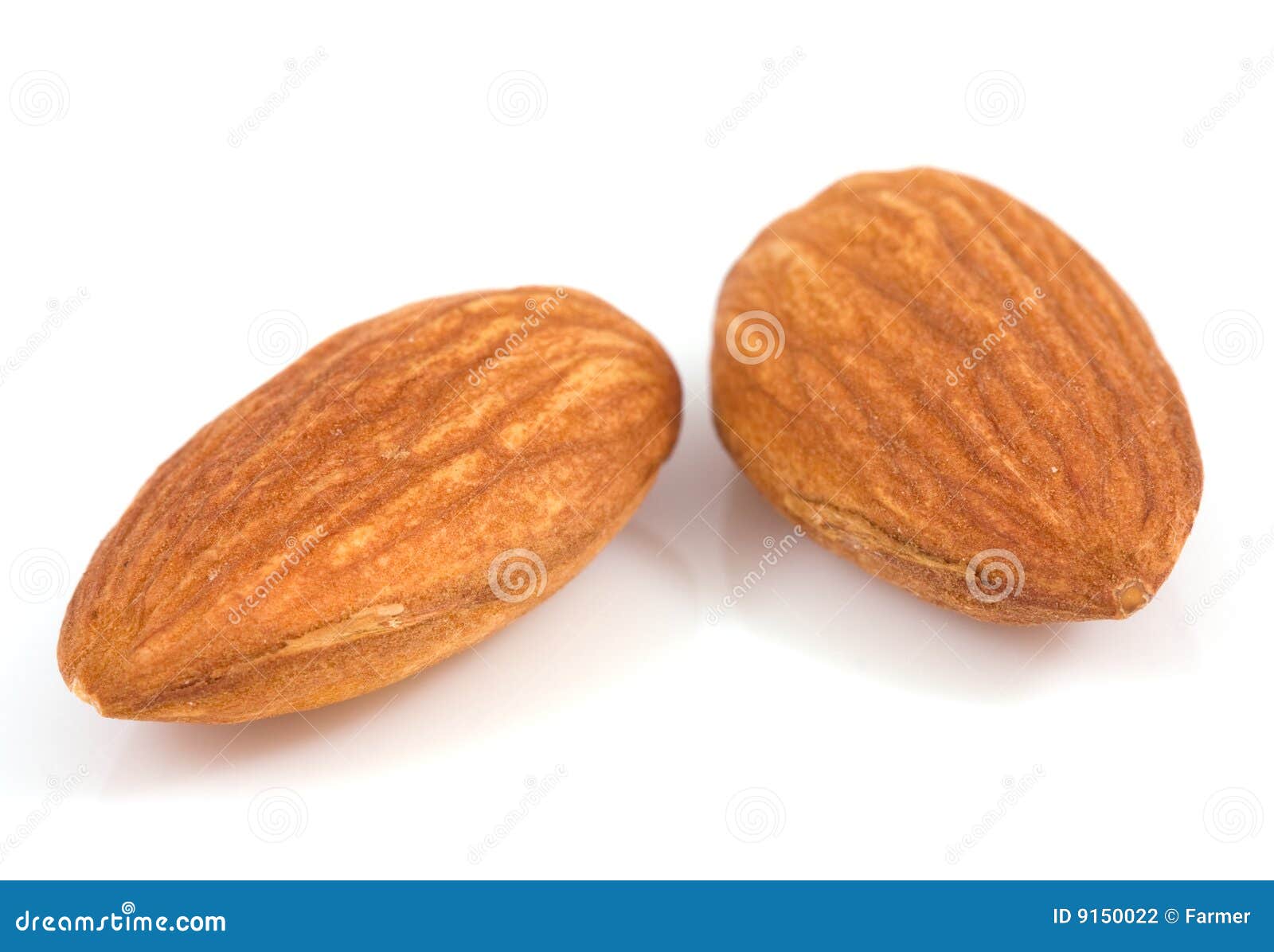 Macro almond stock photo. Image of sweet, dried, objects 9150022