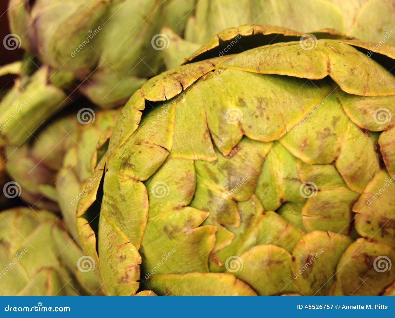 Macro artichoke stock image. Image of yellow, nature 45526767