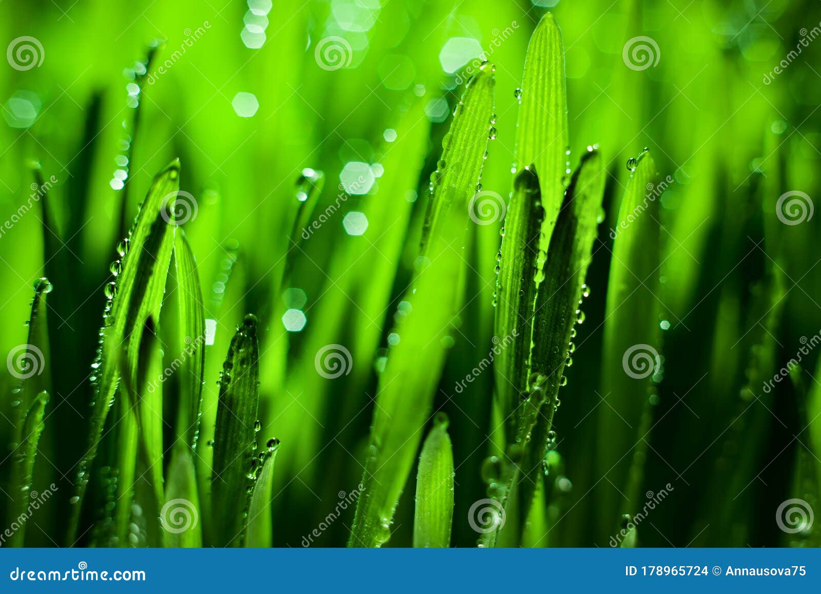 Water Drops: Bạn có thể không tin được rằng những giọt nước nhỏ bé lại có thể mang lại vẻ đẹp đầy ấn tượng và sống động. Khám phá ngay bộ sưu tập những bức ảnh tuyệt đẹp về những giọt nước rơi như đang tạo ra một bức tranh sống động trên trang web của chúng tôi.