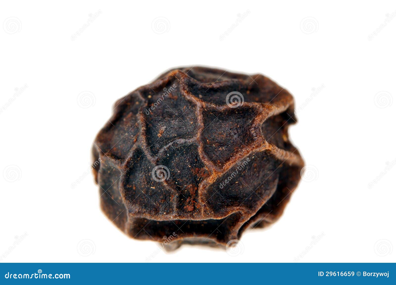 Macro black pepper grain stock image. Image of spicy 29616659