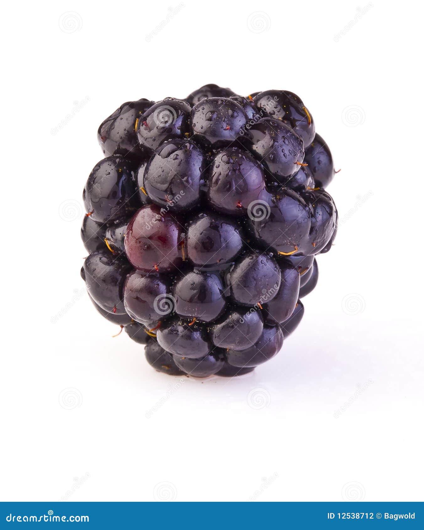 Macro Blackberry stock photo. Image of berry, dewberry - 12538712