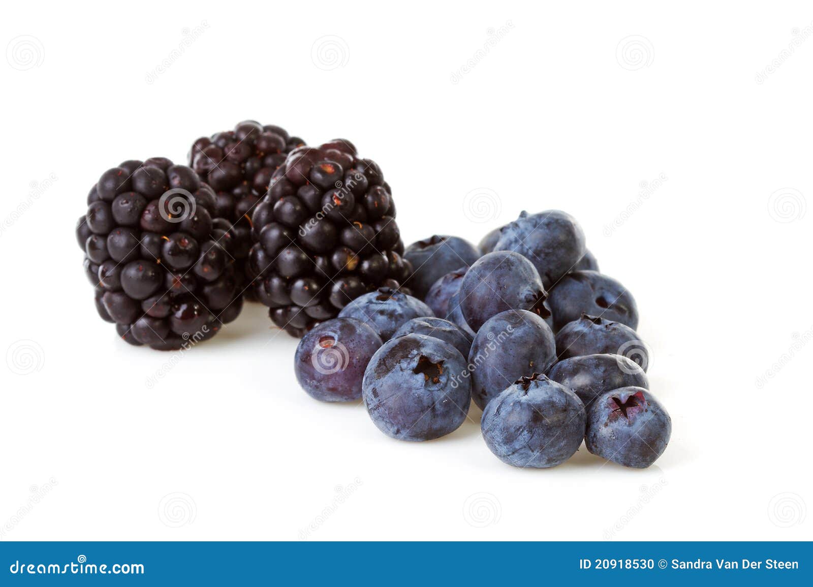 Macro Of Blackberry And Currant Berries Stock Photo Image of
