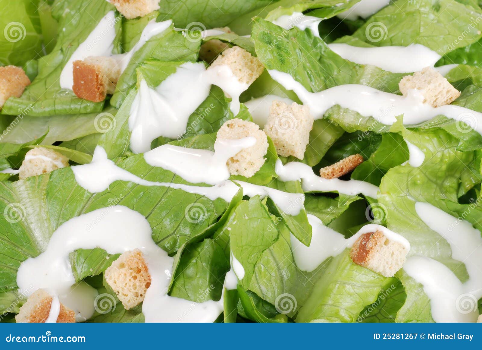 macro cesar salad
